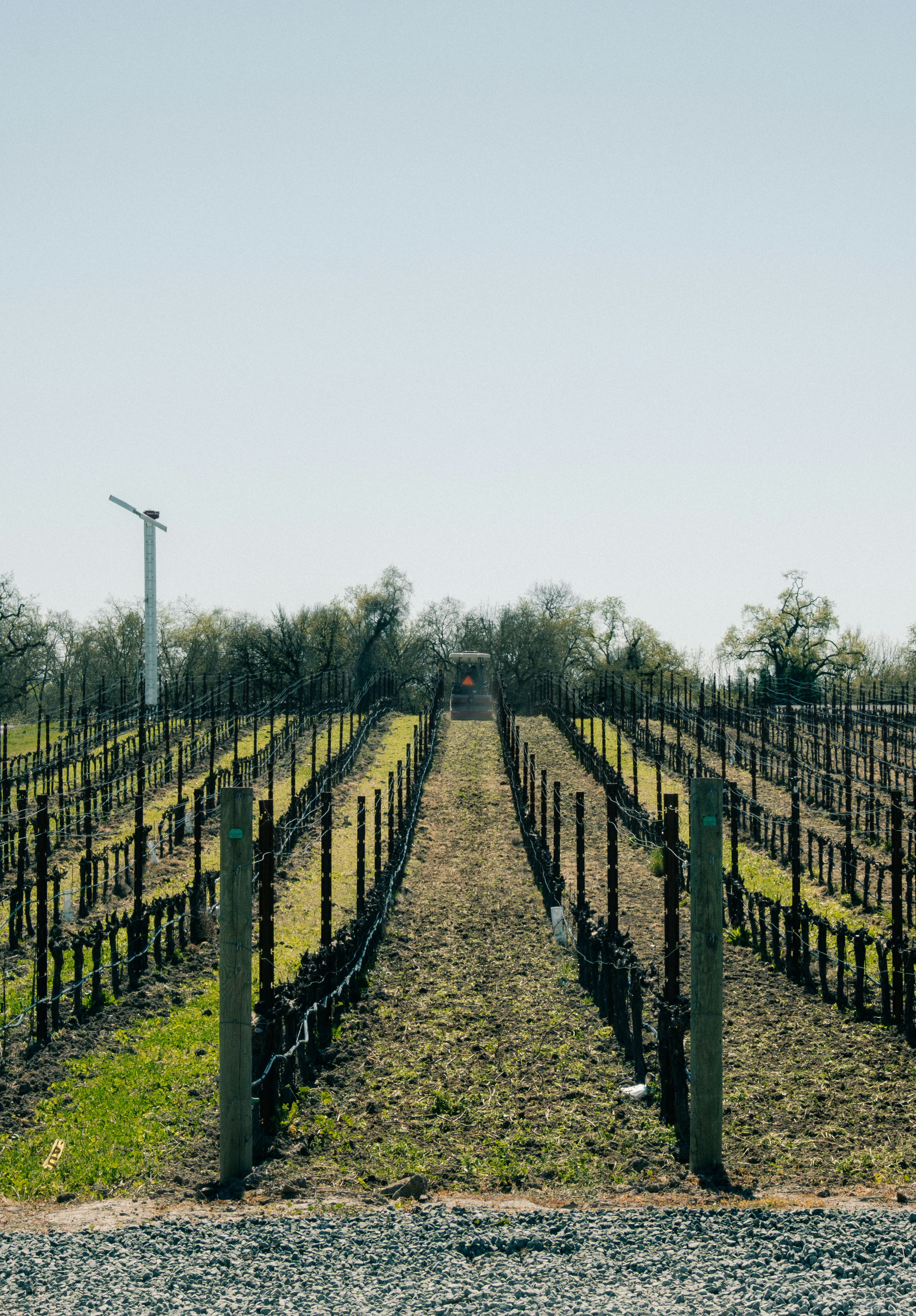 Photo by migueldominguez