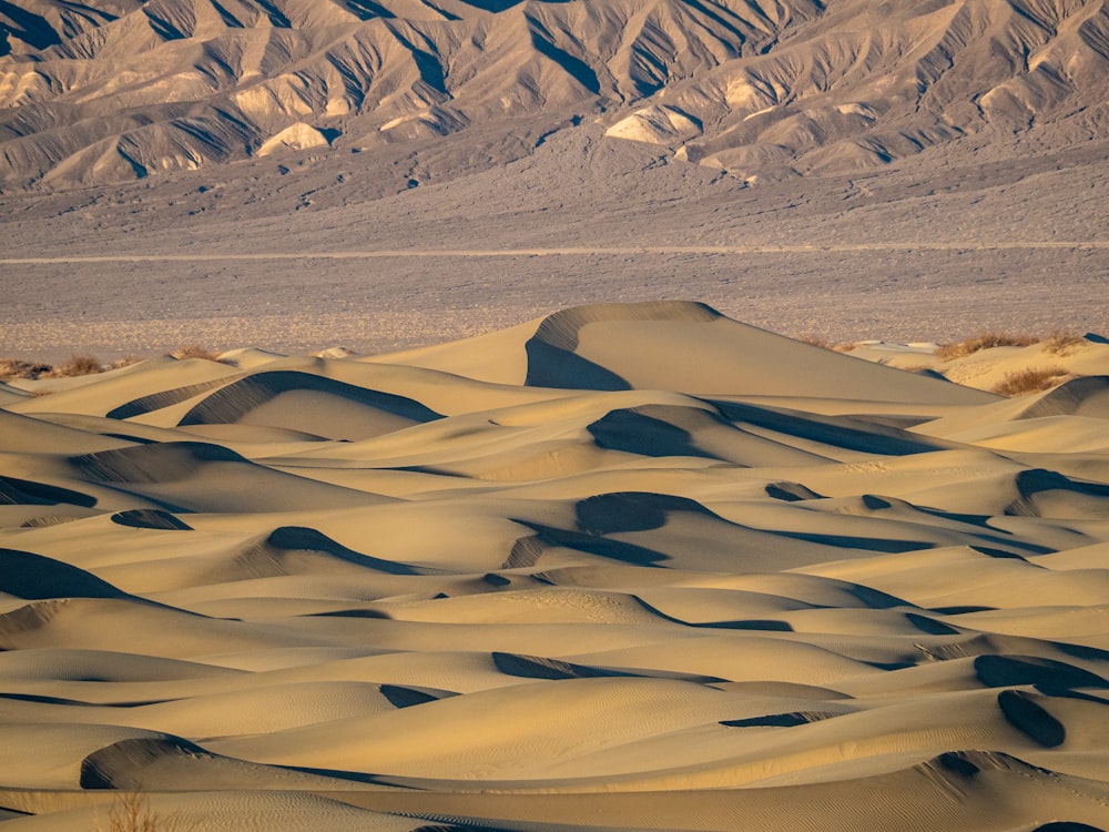 a large group of sand dunes with mountains in the background