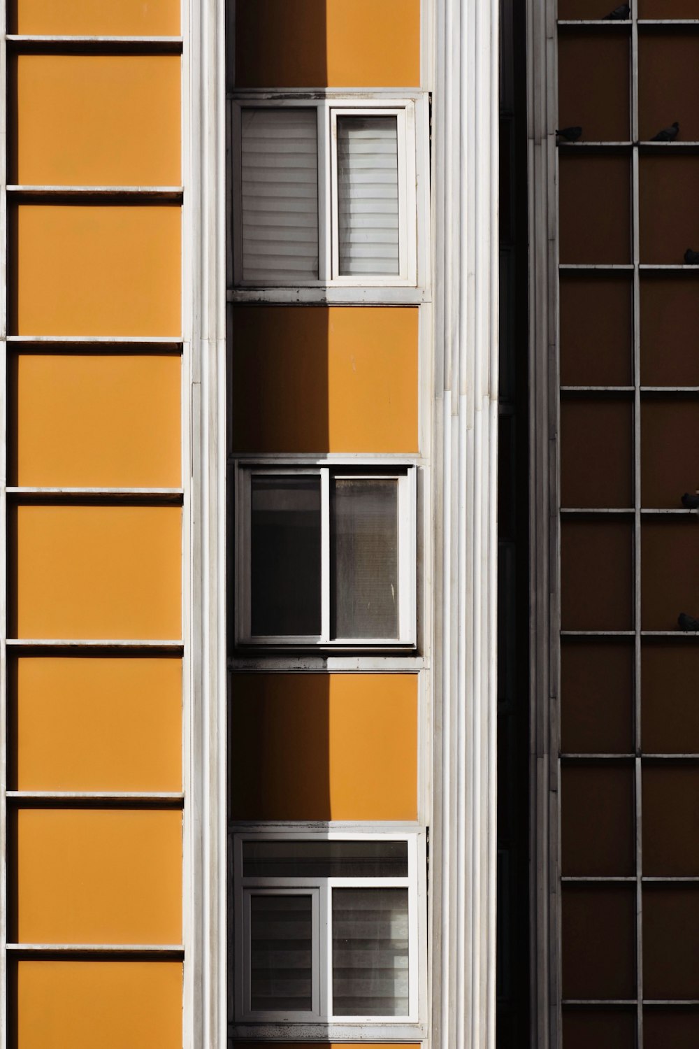 a yellow and white building with windows and bars