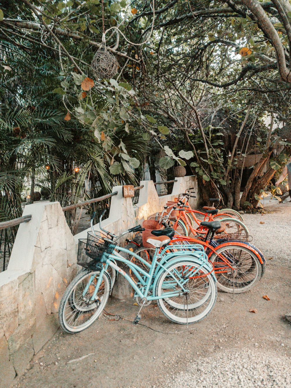 a row of bicycles parked next to each other