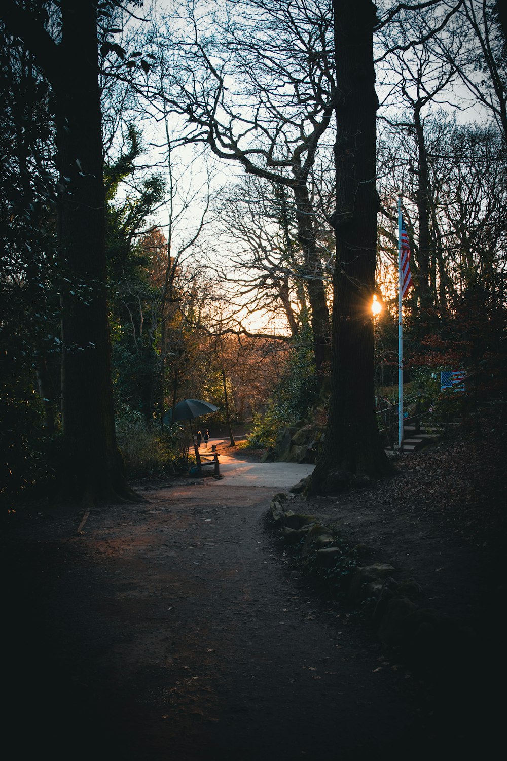 a person sitting on a bench in a park