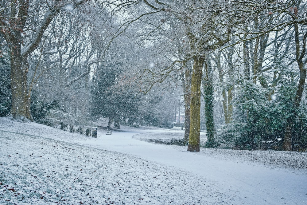 a snow covered park with trees and benches