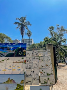 A collection of colorful paintings is displayed outdoors on a sunny day. The scenes feature vibrant landscapes, including famous landmarks and cityscapes, likely from a coastal region. A large palm tree and other lush greenery frame the background, while a clear blue sky stretches above.