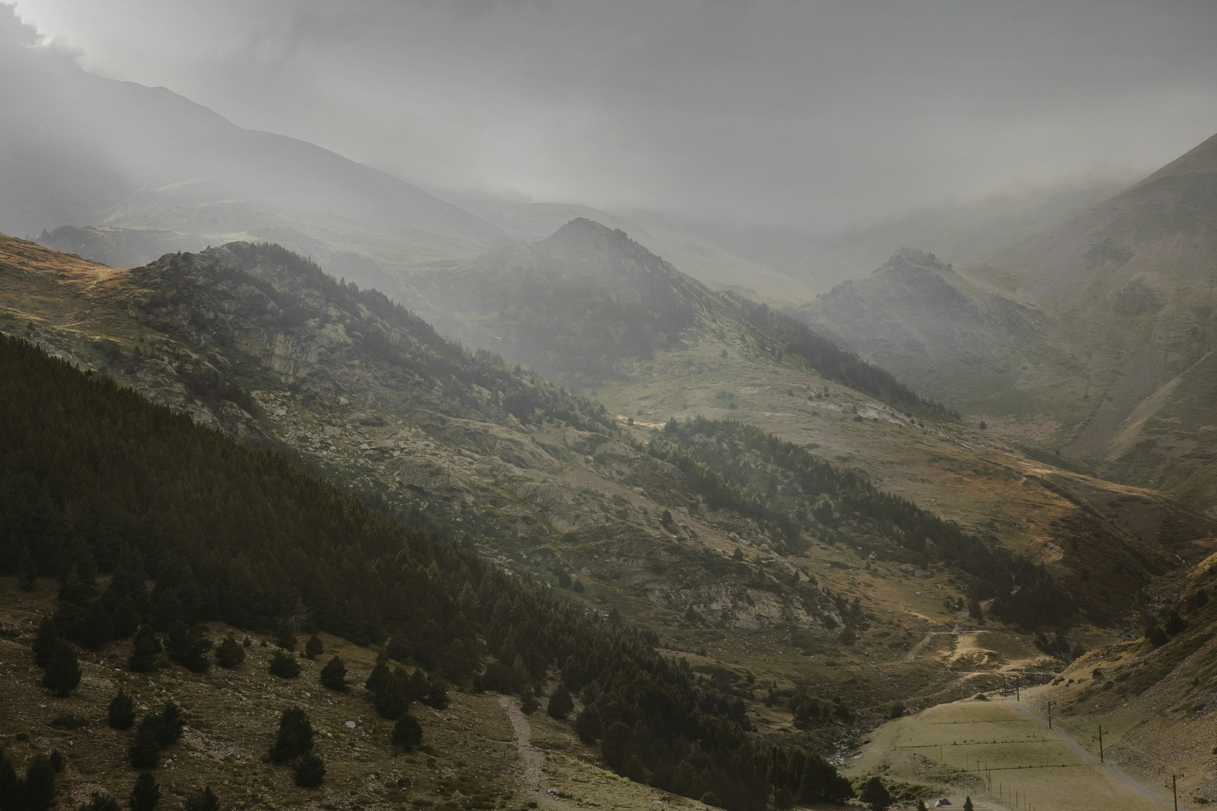 Photo by guceviciutecom