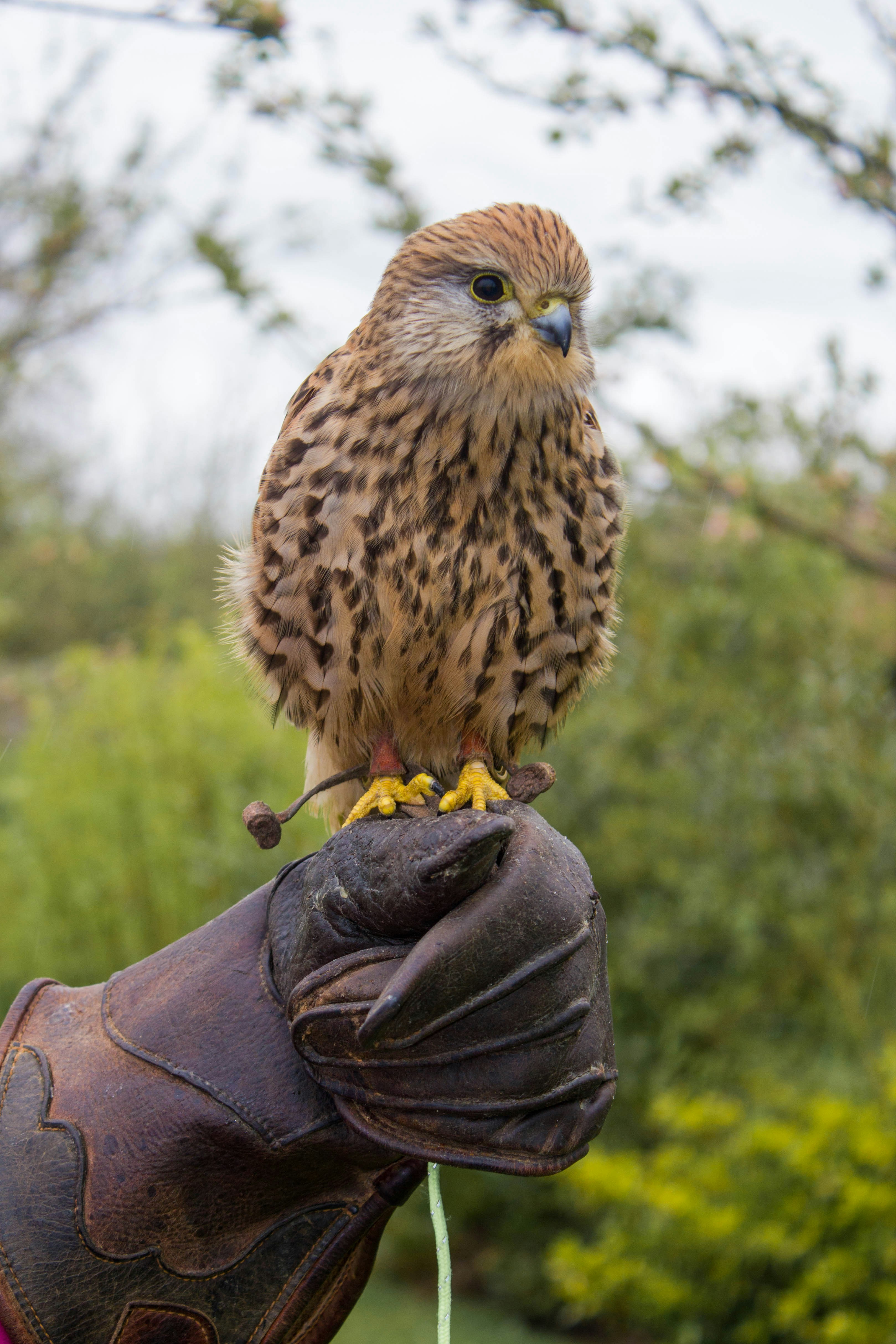 Photo by maplerockdesign