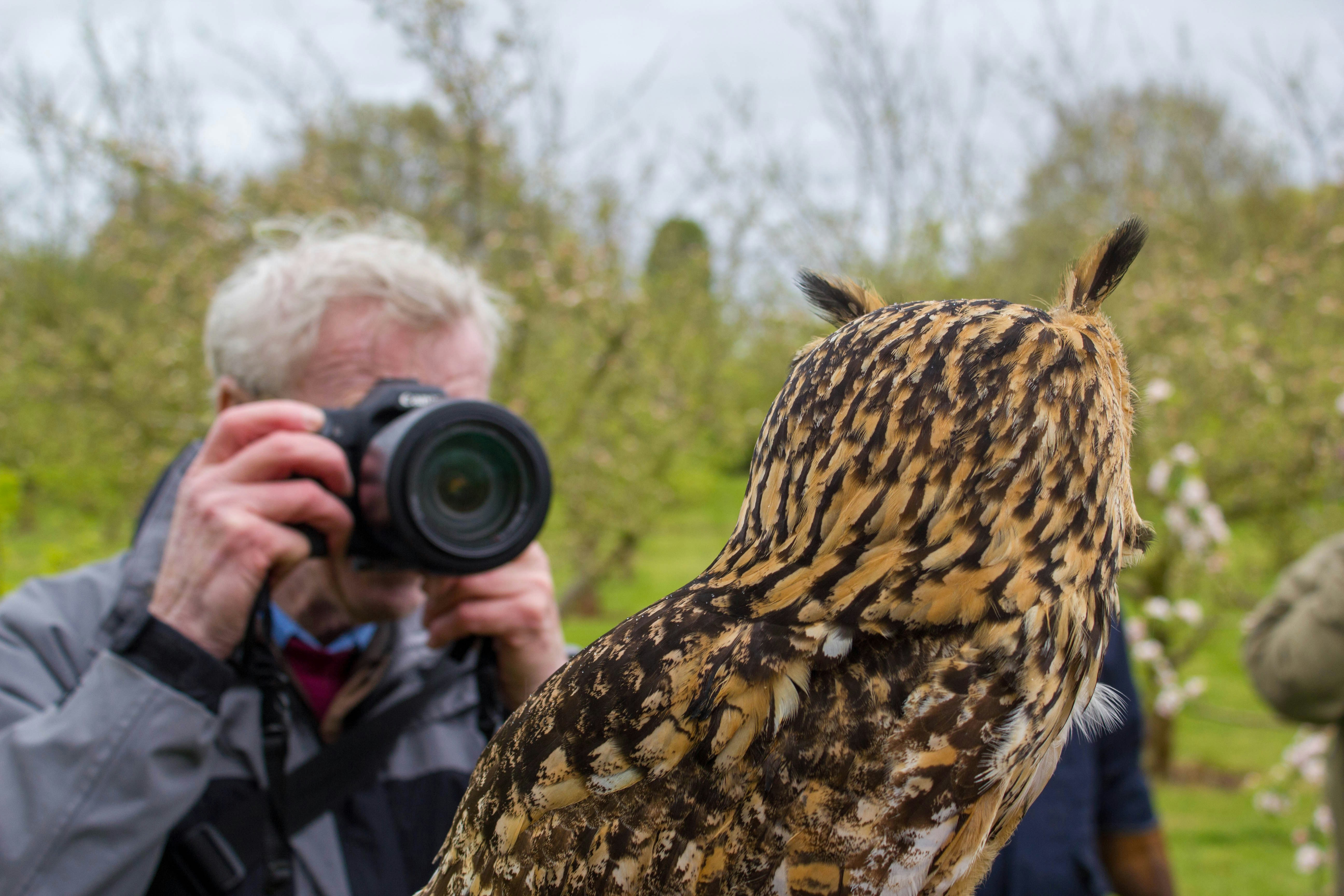 a man taking a picture of an owl with a camera