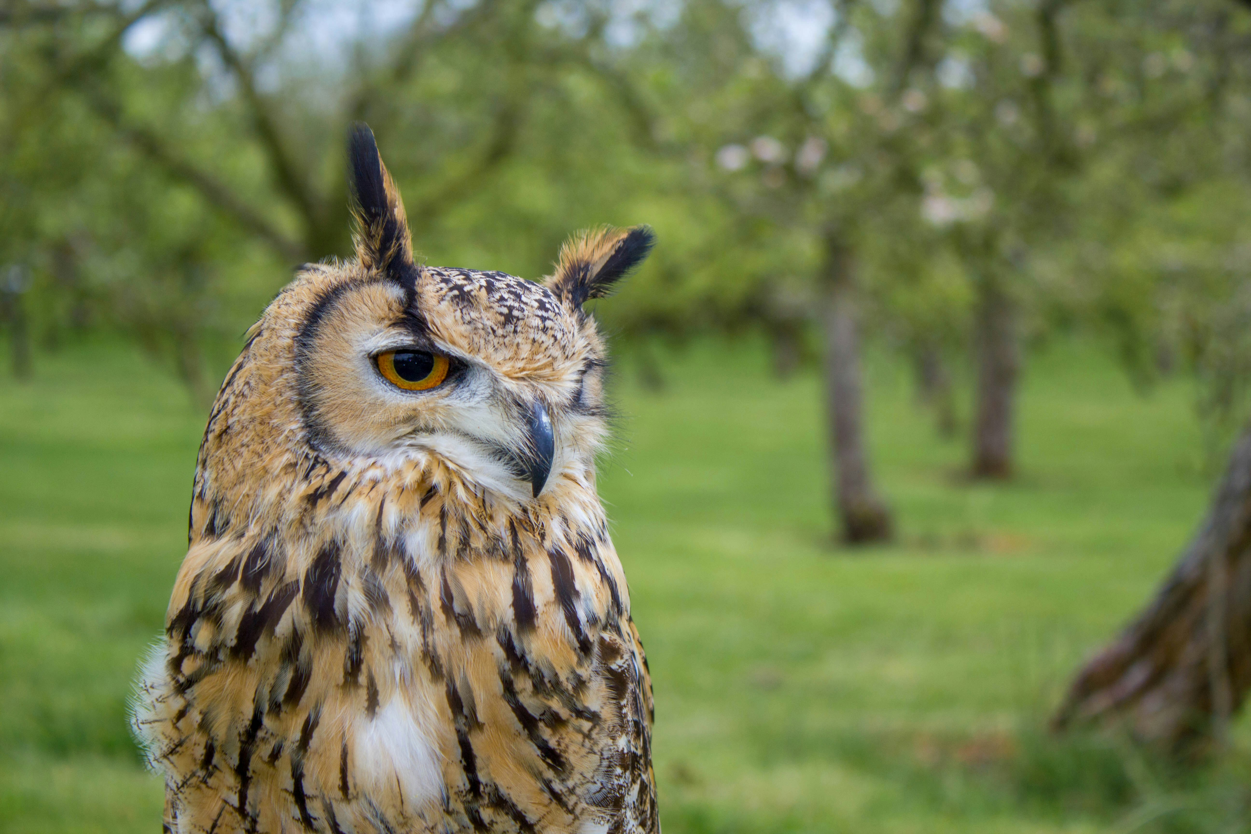 Photo by maplerockdesign