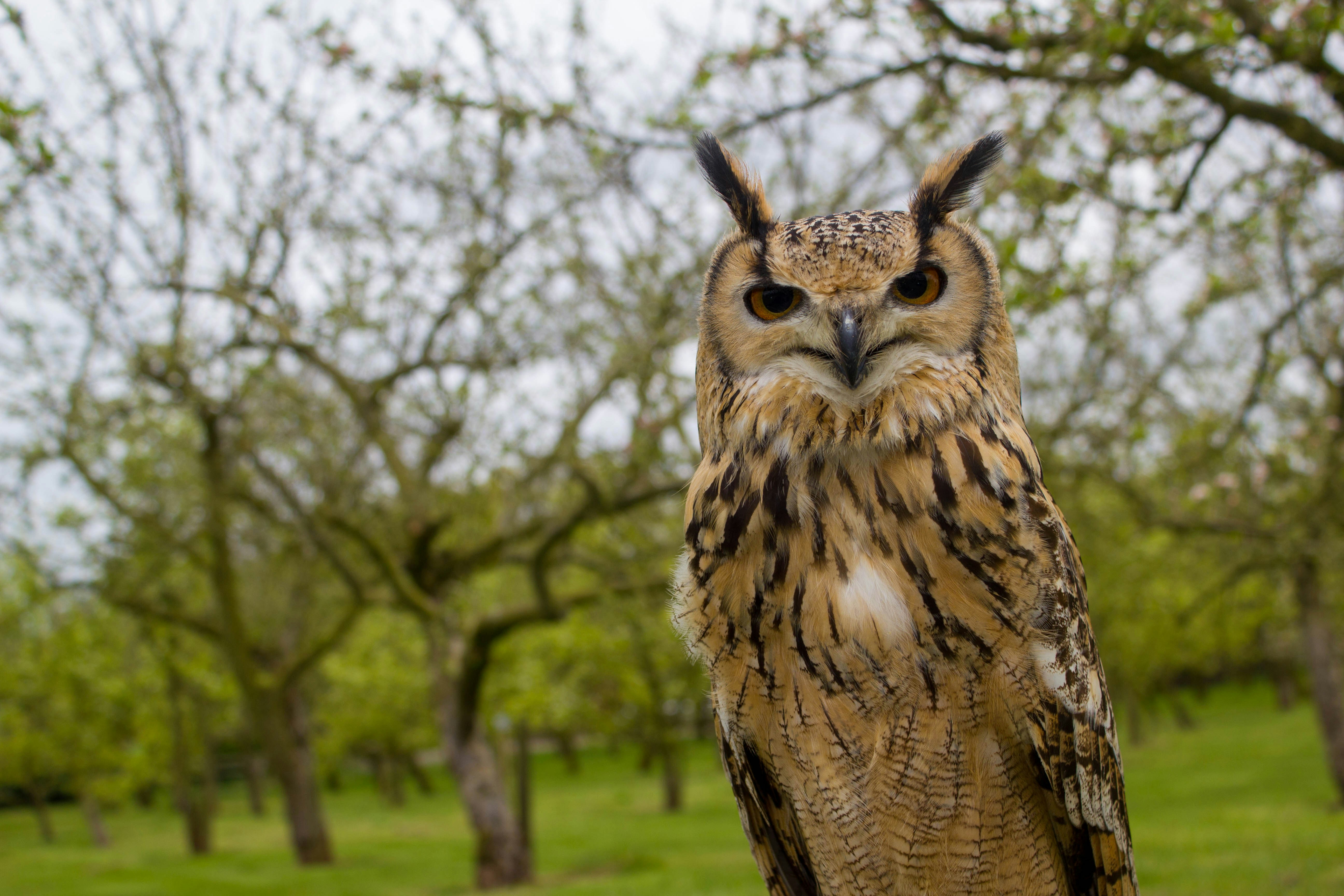 Photo by maplerockdesign