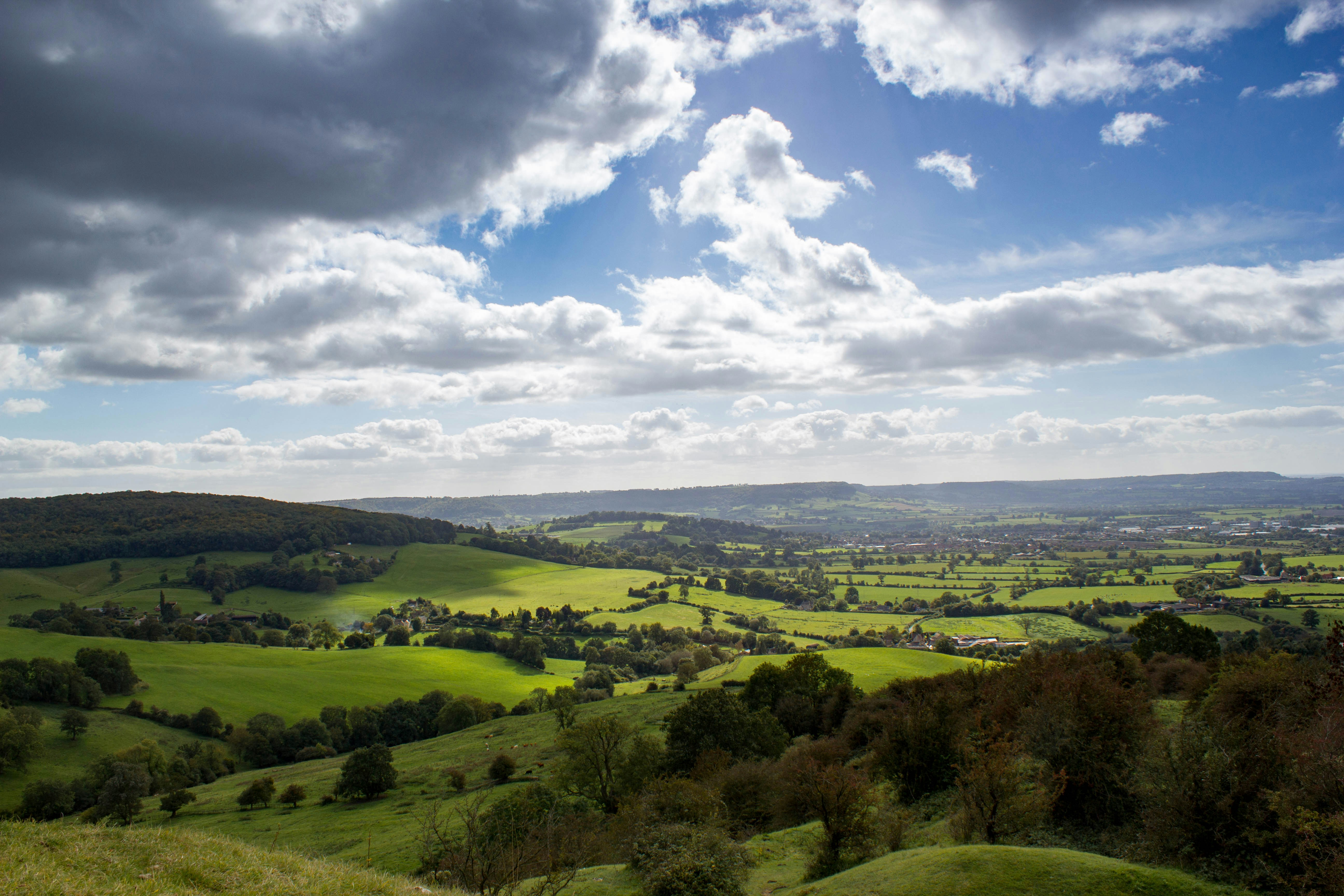 Photo by maplerockdesign