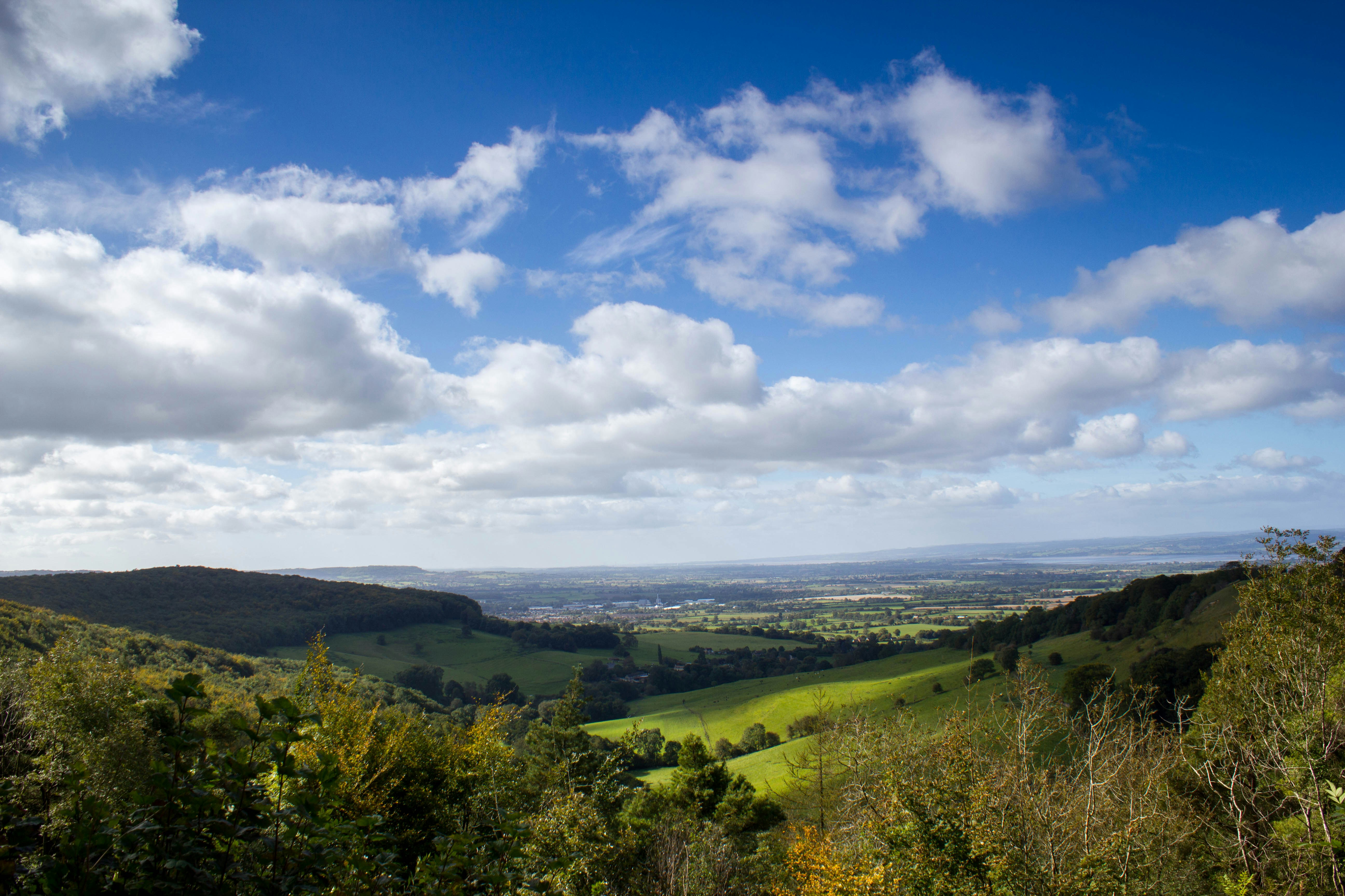 Photo by maplerockdesign