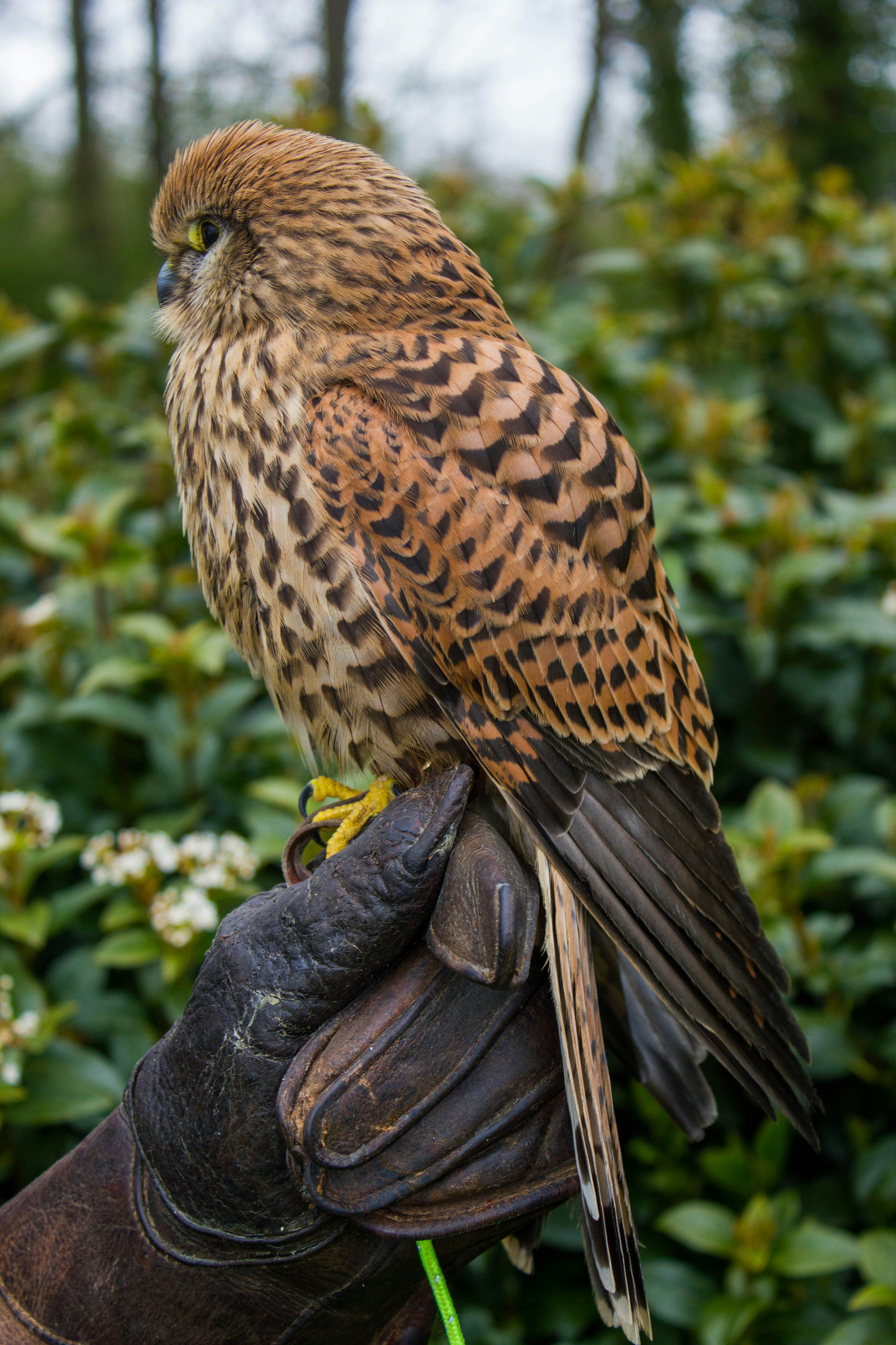 Photo by maplerockdesign