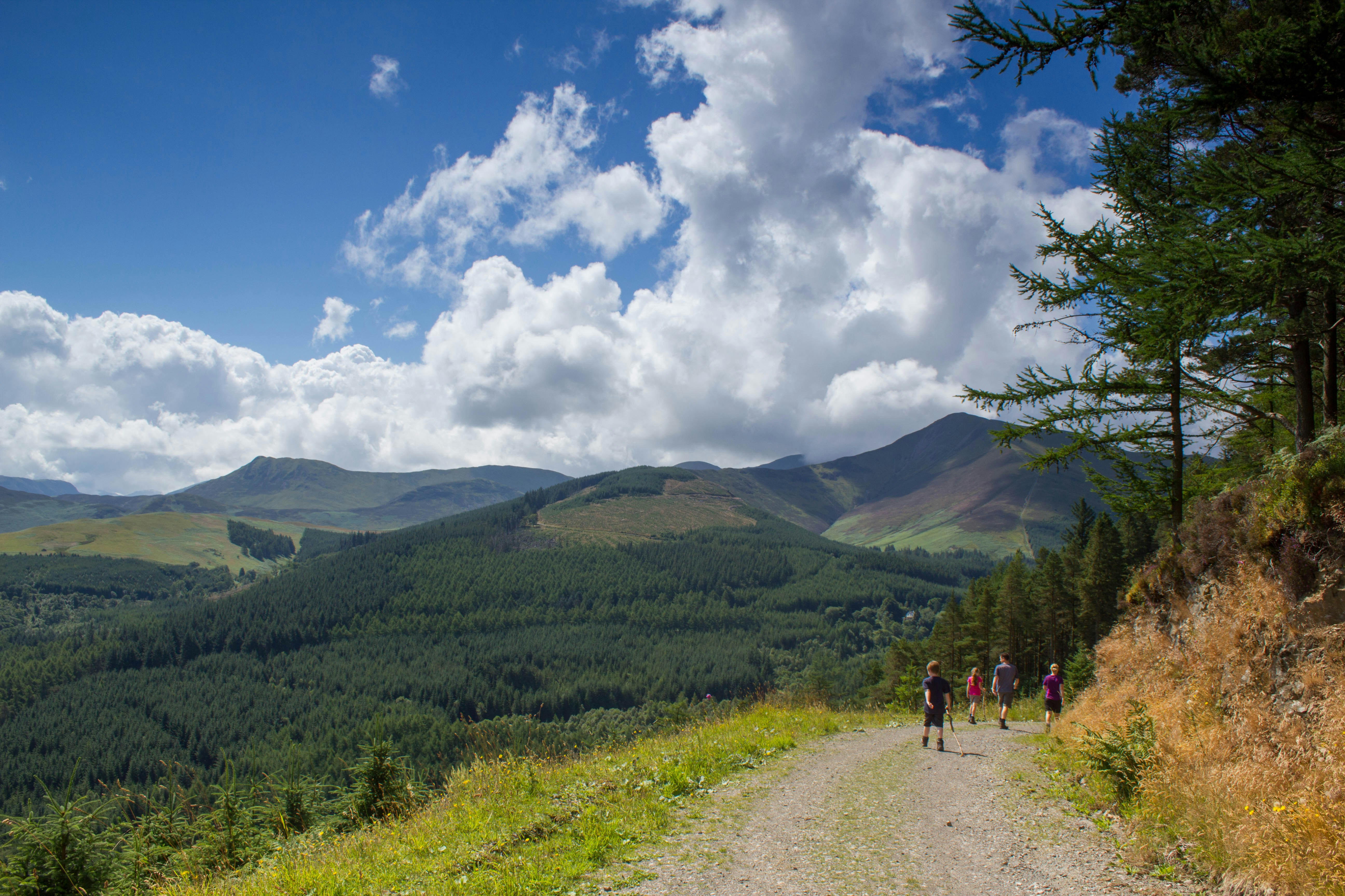 Photo by maplerockdesign