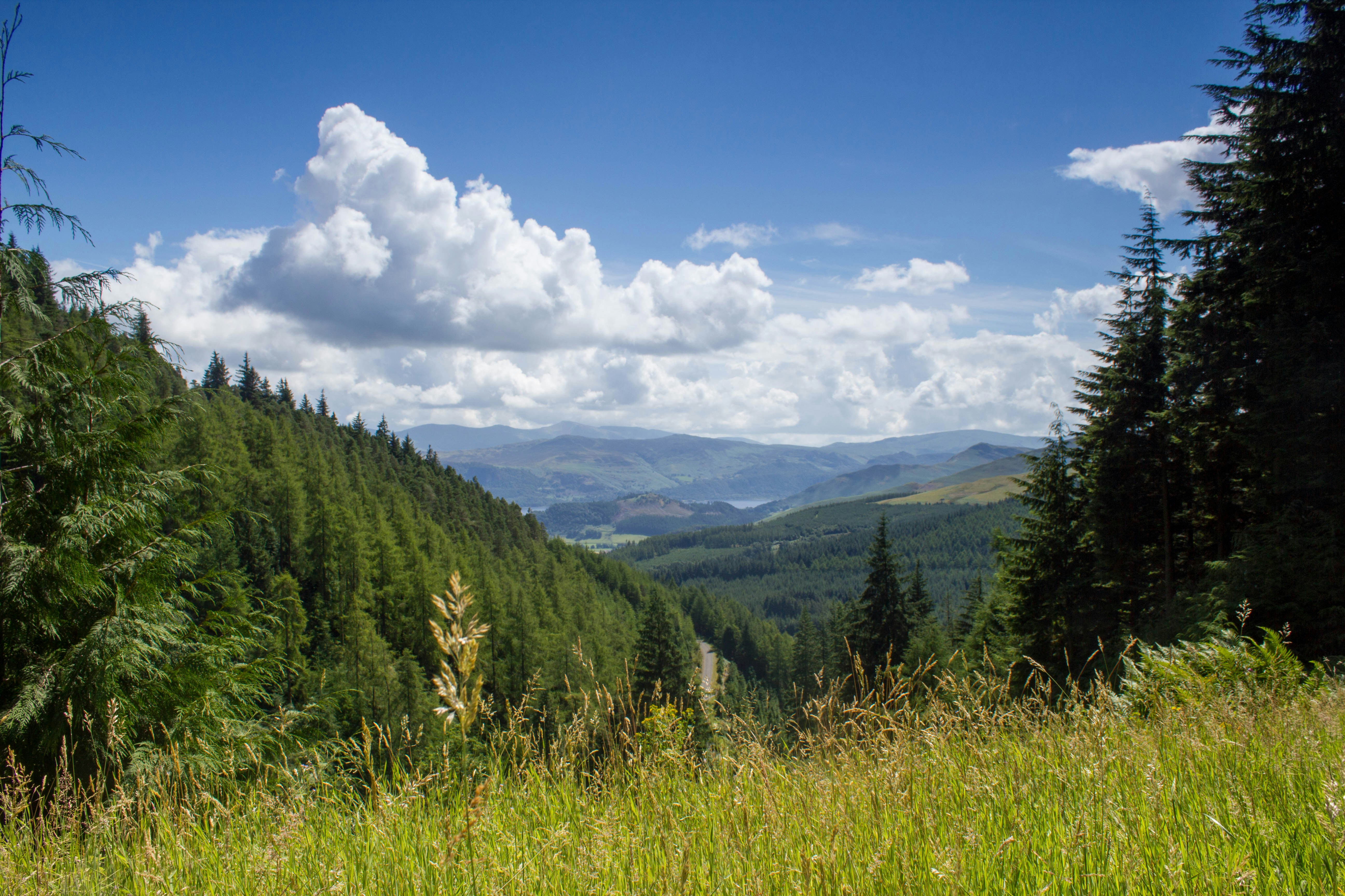 Photo by maplerockdesign