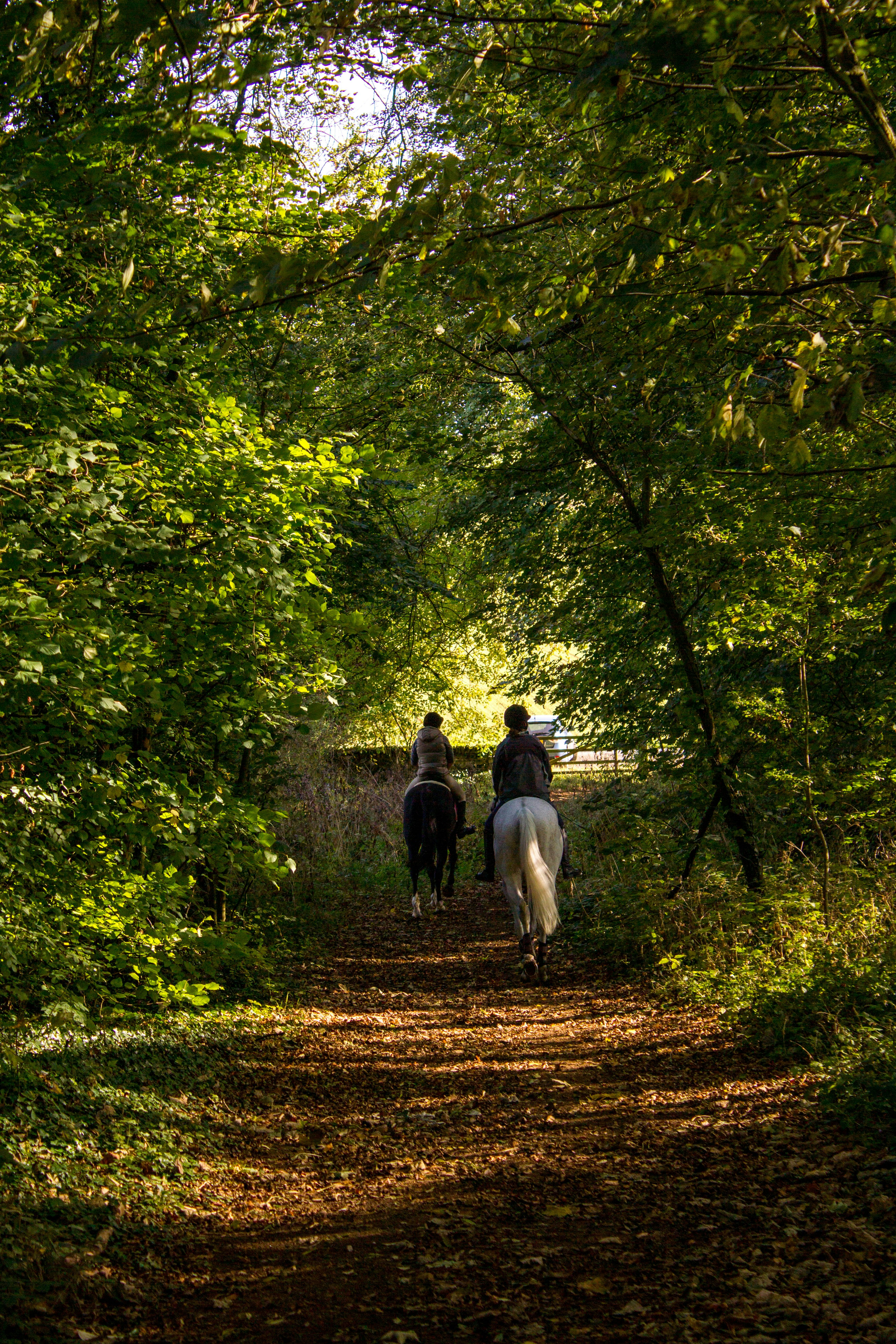 Photo by maplerockdesign