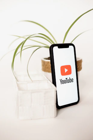 a cell phone sitting next to a plant with a youtube logo on it
