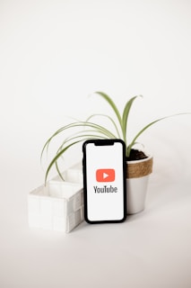 A smartphone displaying the YouTube logo stands upright on a white surface, surrounded by two small potted plants. The plant on the right has long, slender green leaves and is in a white pot wrapped with a brown band, creating a visually pleasing composition.