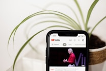 A smartphone displaying a YouTube screen is positioned in the foreground with a TED talk video preview visible. In the background, there is a potted plant with long, green leaves.