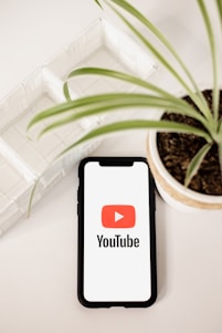 A smartphone displaying the YouTube logo is placed on a light-colored surface. To the side, there is a potted plant with green, slender leaves. The pot is filled with dark soil and positioned next to a rectangular white container.