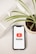 A smartphone displaying the YouTube logo is placed on a light-colored surface. To the side, there is a potted plant with green, slender leaves. The pot is filled with dark soil and positioned next to a rectangular white container.