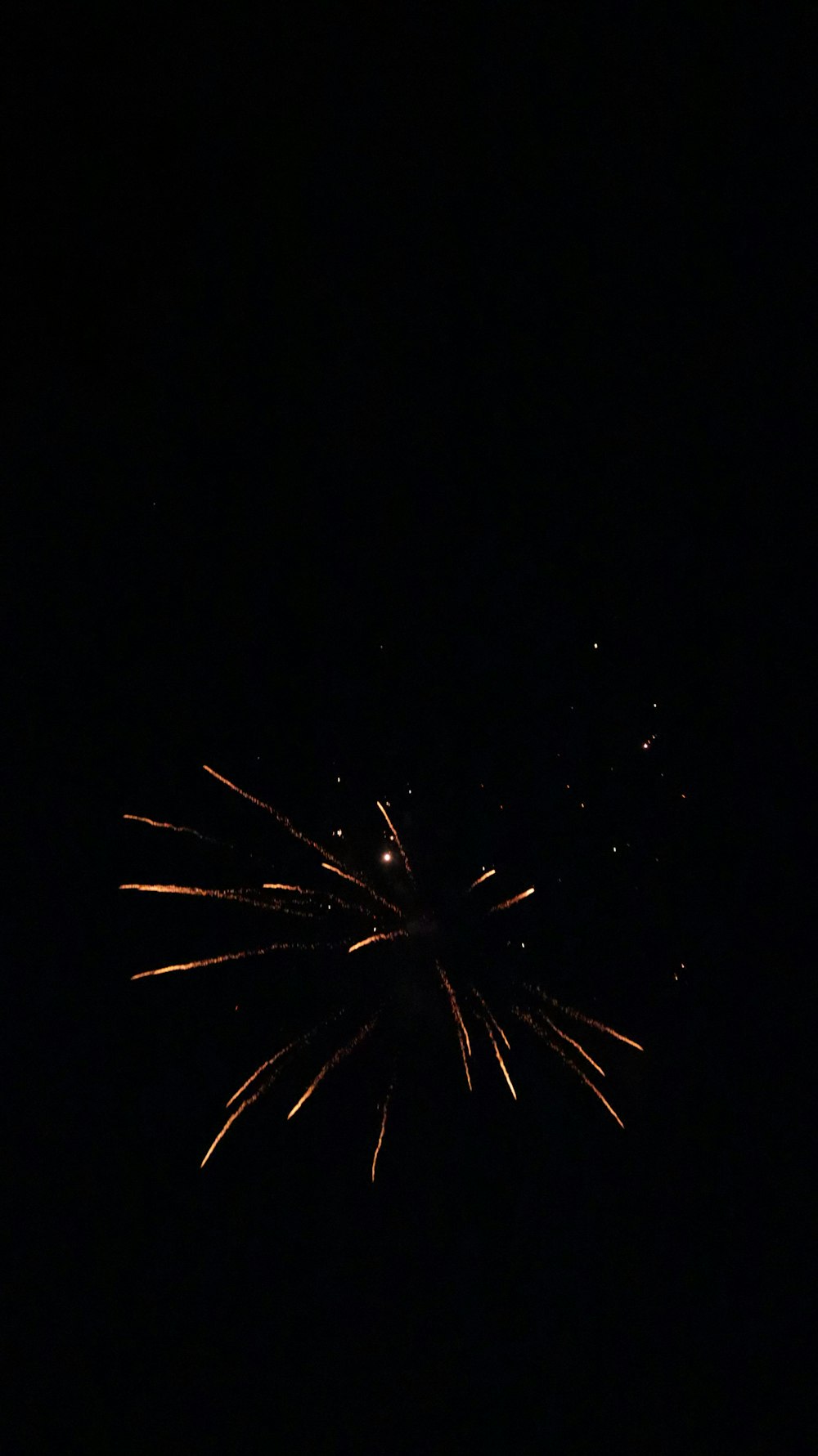 a firework is lit up in the dark sky