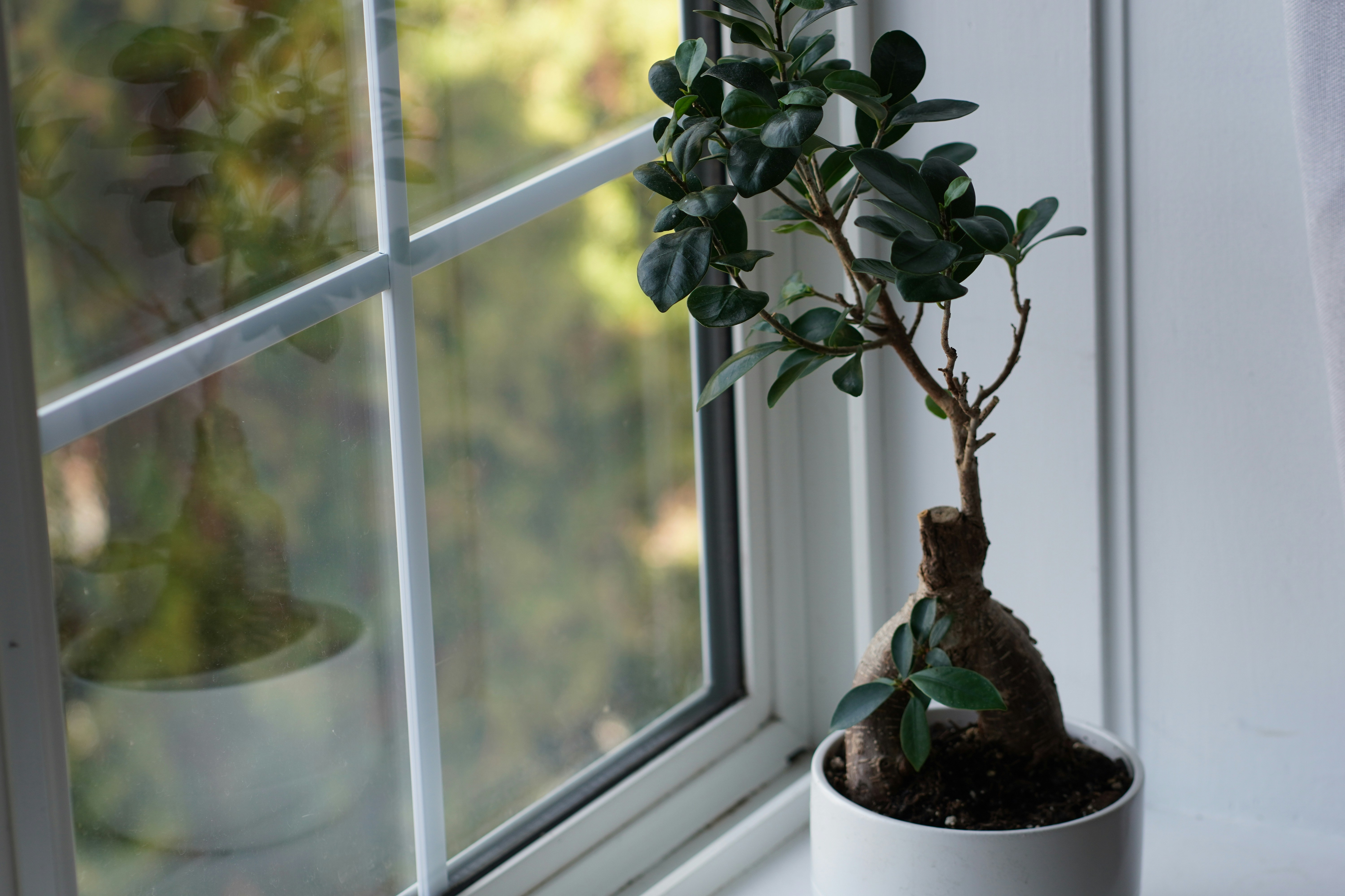 Photo by kolbymilton