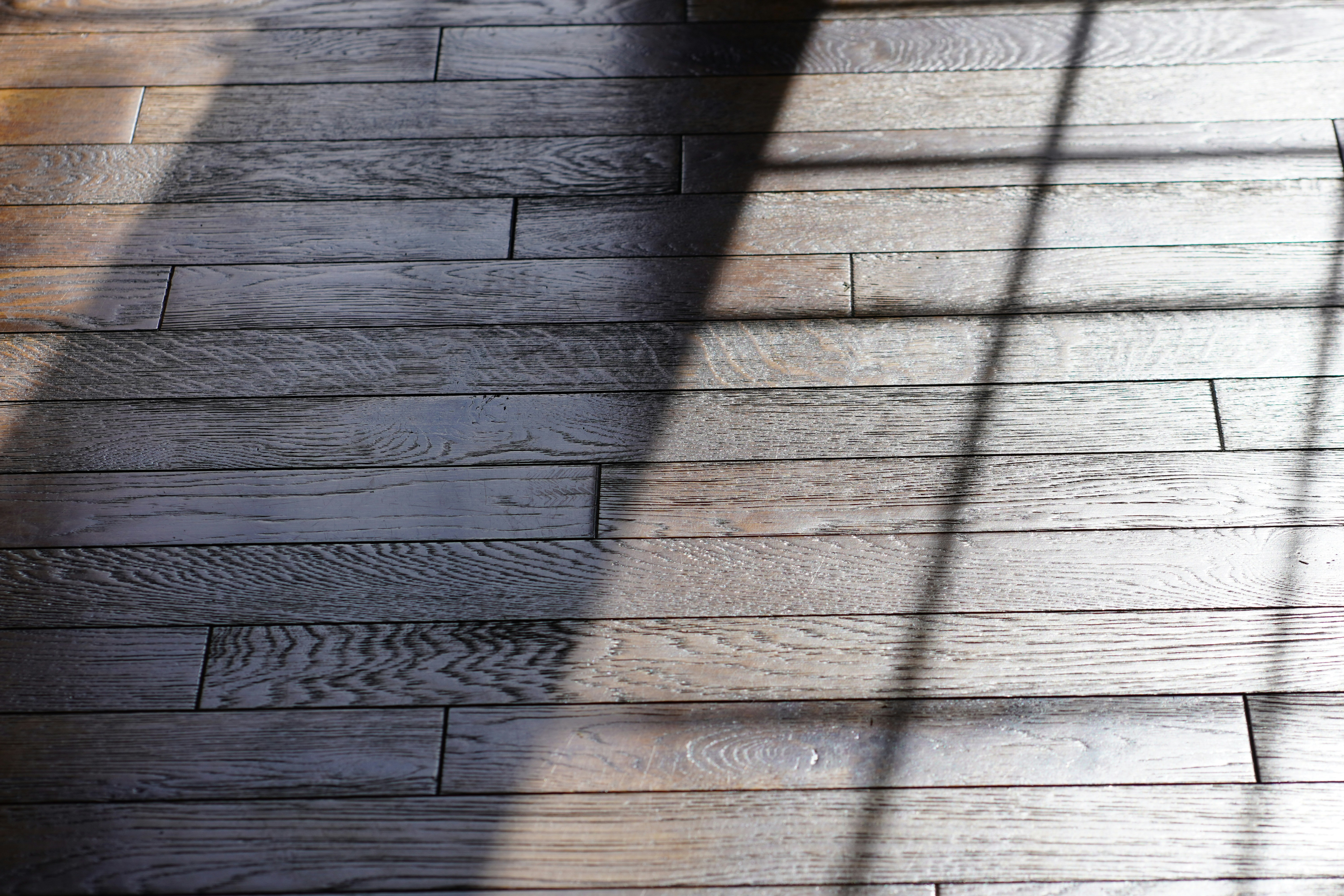 Photo by kolbymilton