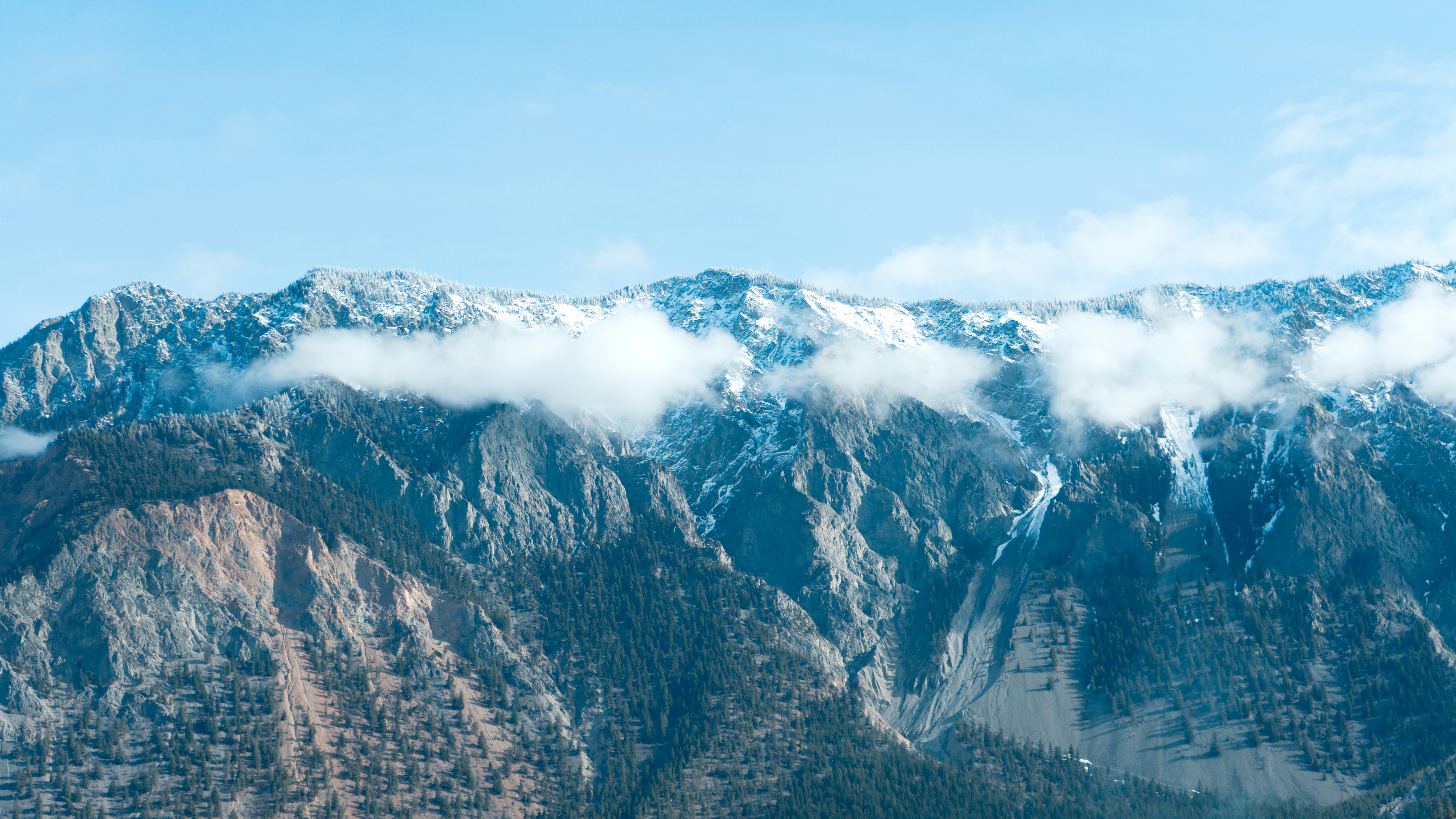 Photo by colefreeman