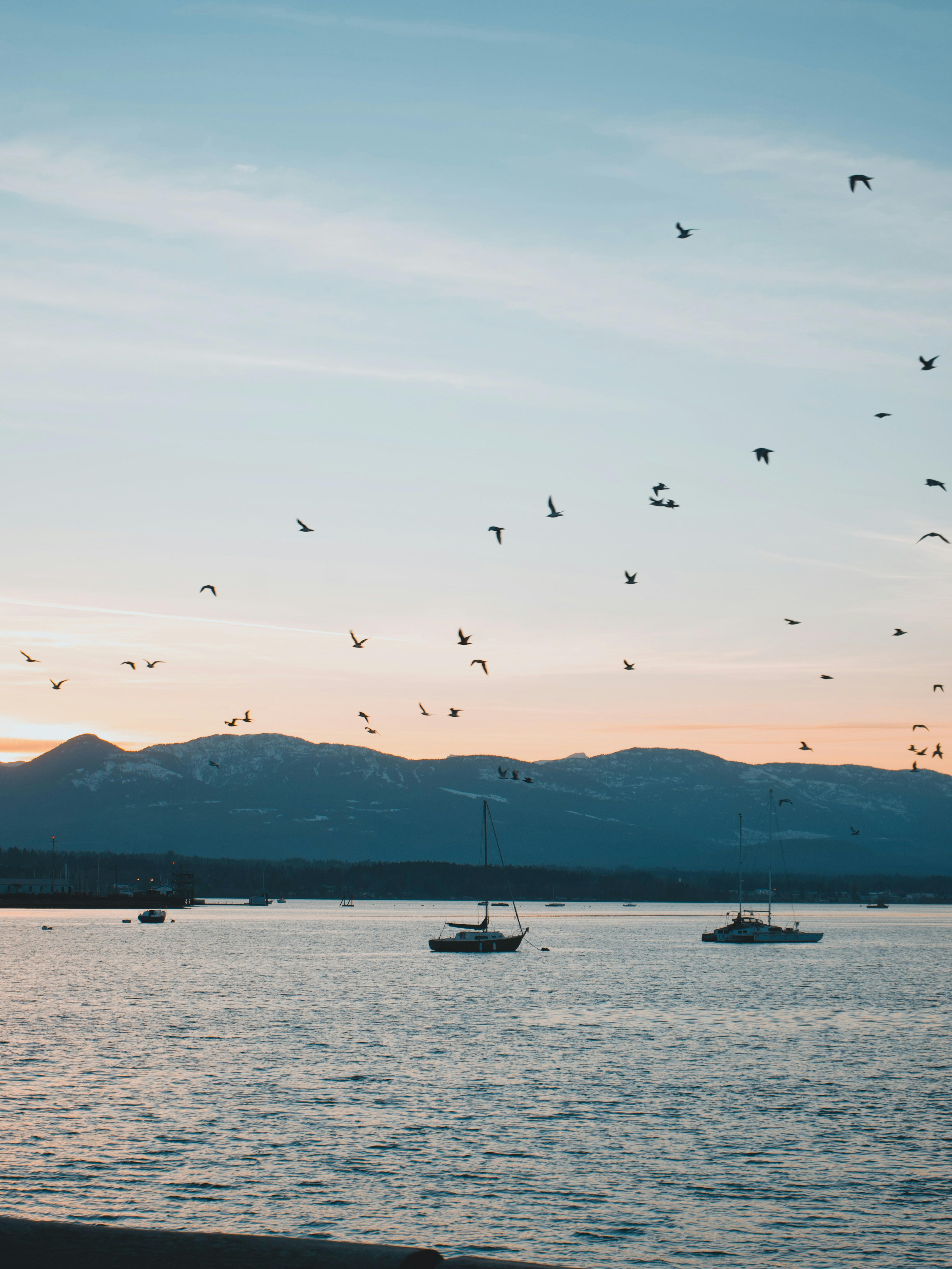 Photo by colefreeman