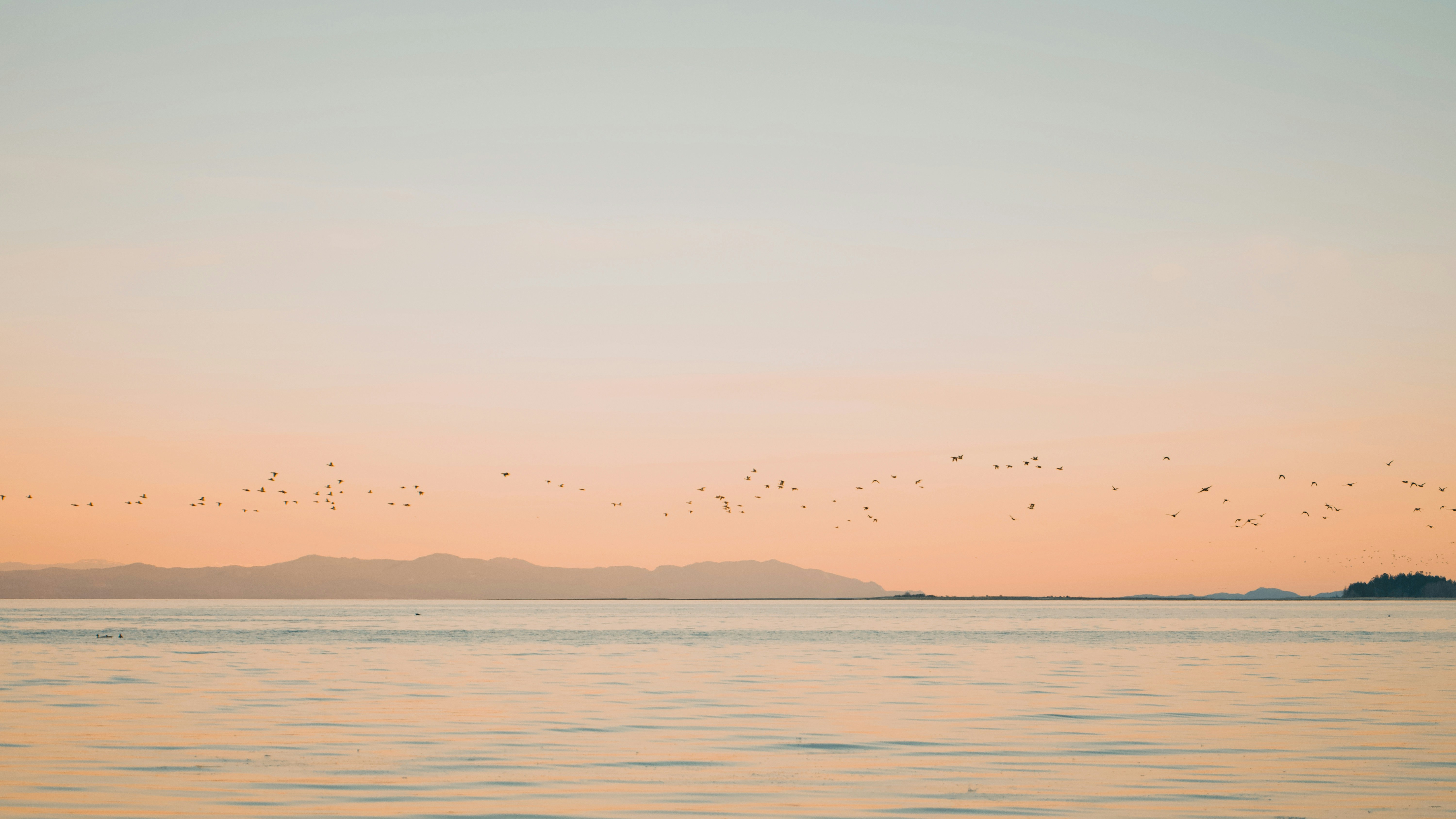 Photo by colefreeman