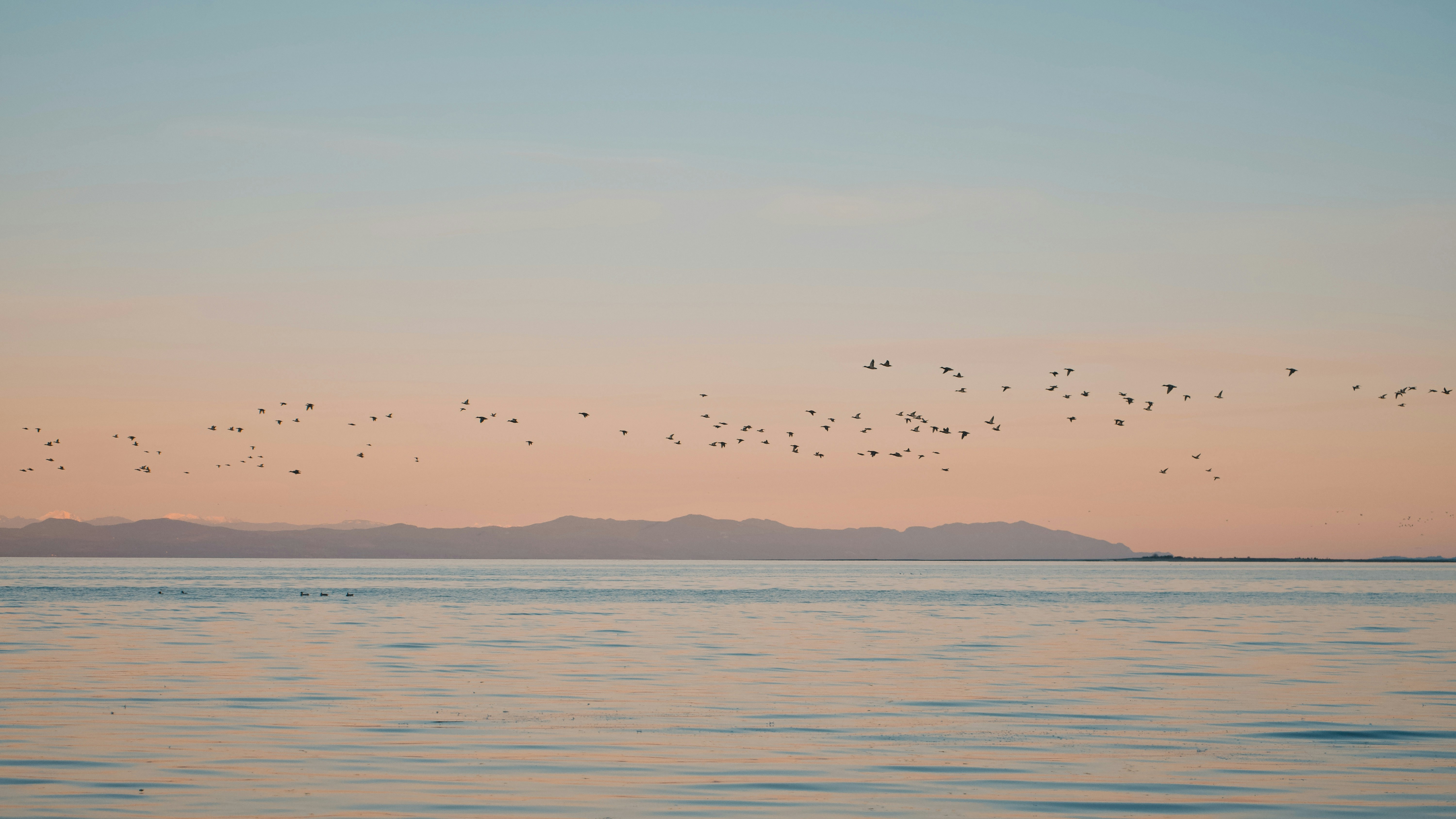 Photo by colefreeman