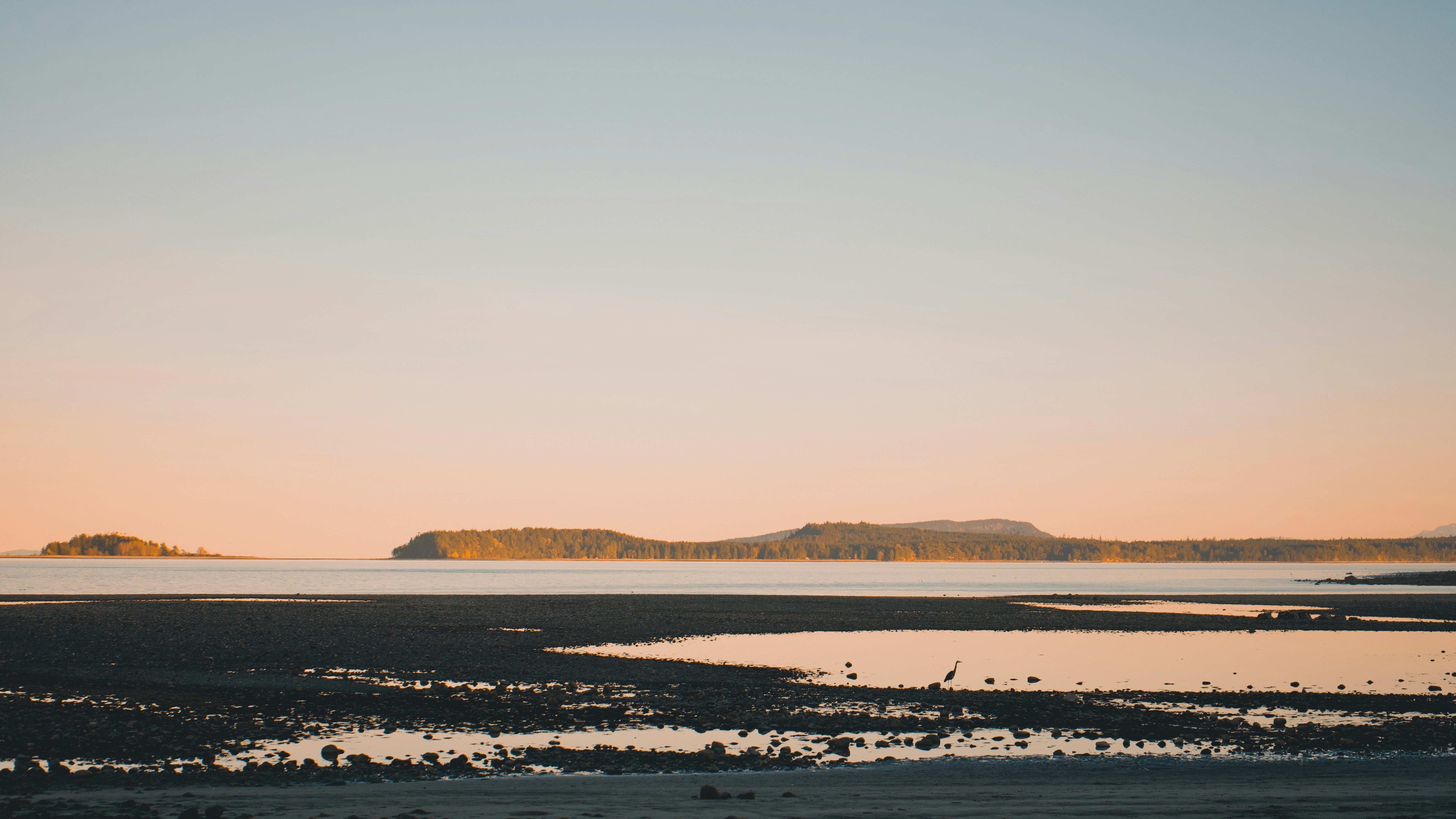 Photo by colefreeman