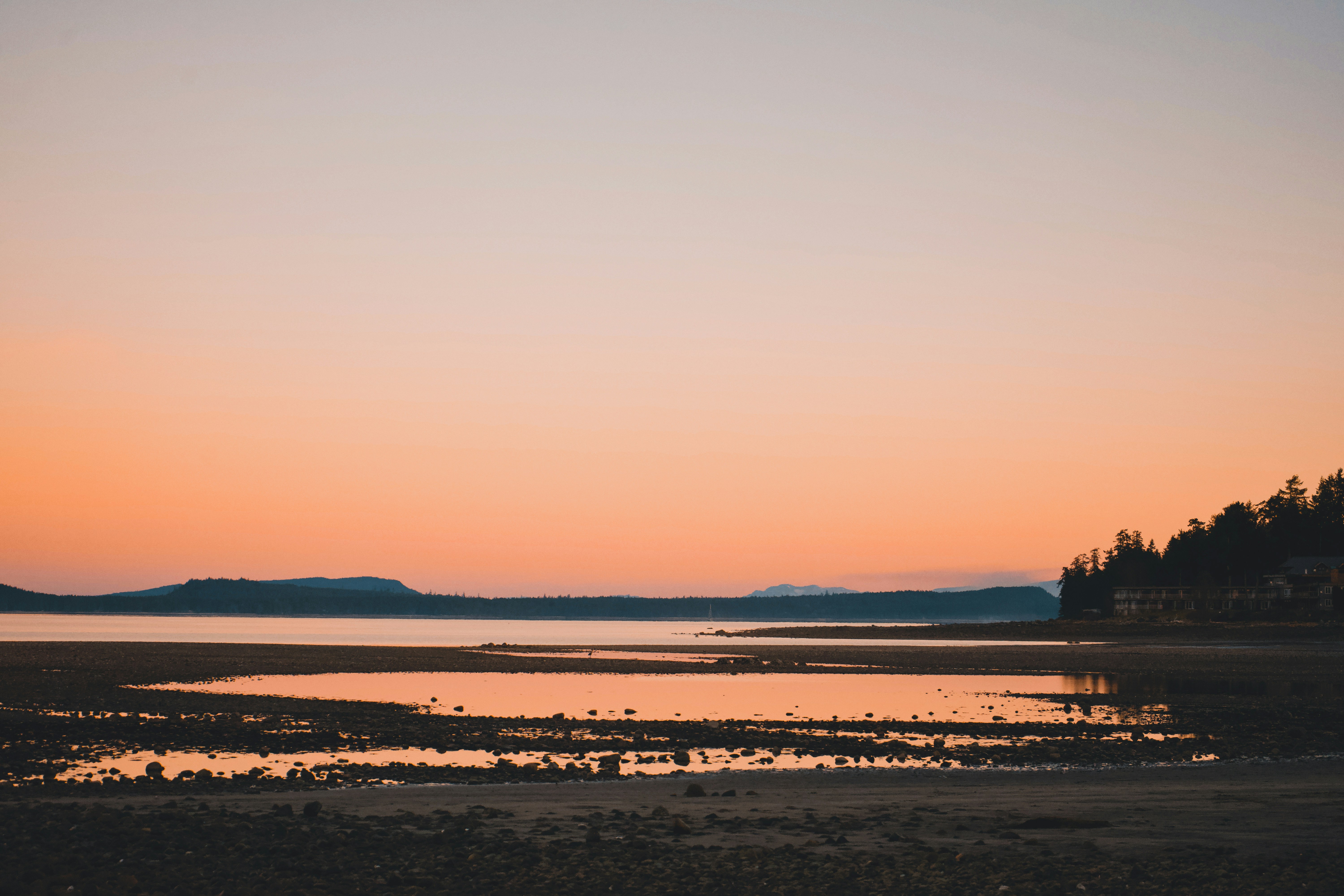 Photo by colefreeman