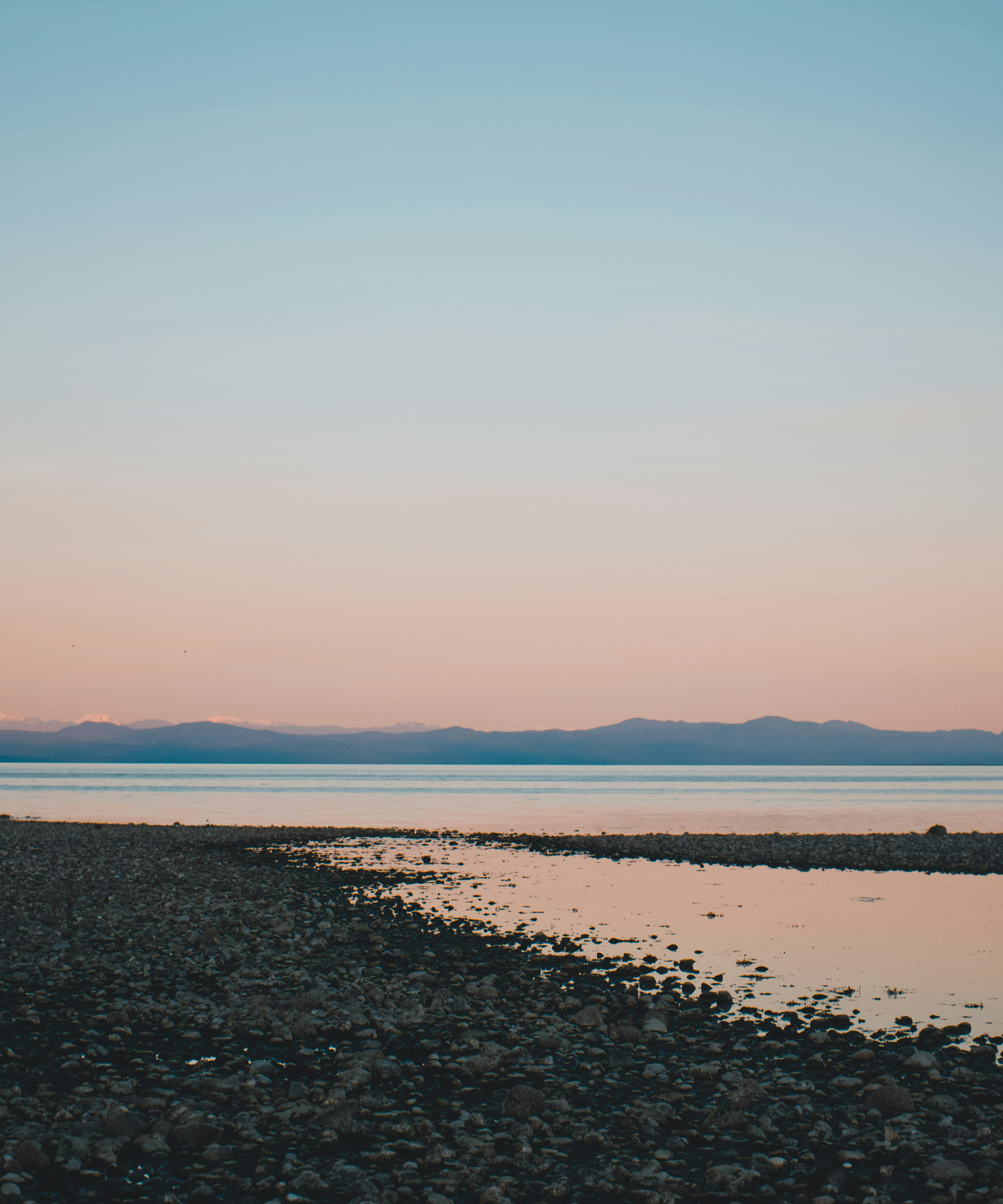 Photo by colefreeman