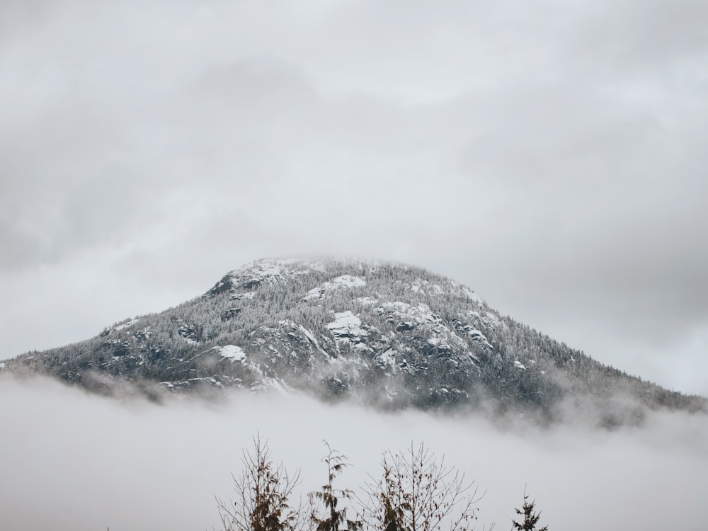 a mountain covered in snow with trees in the foreground