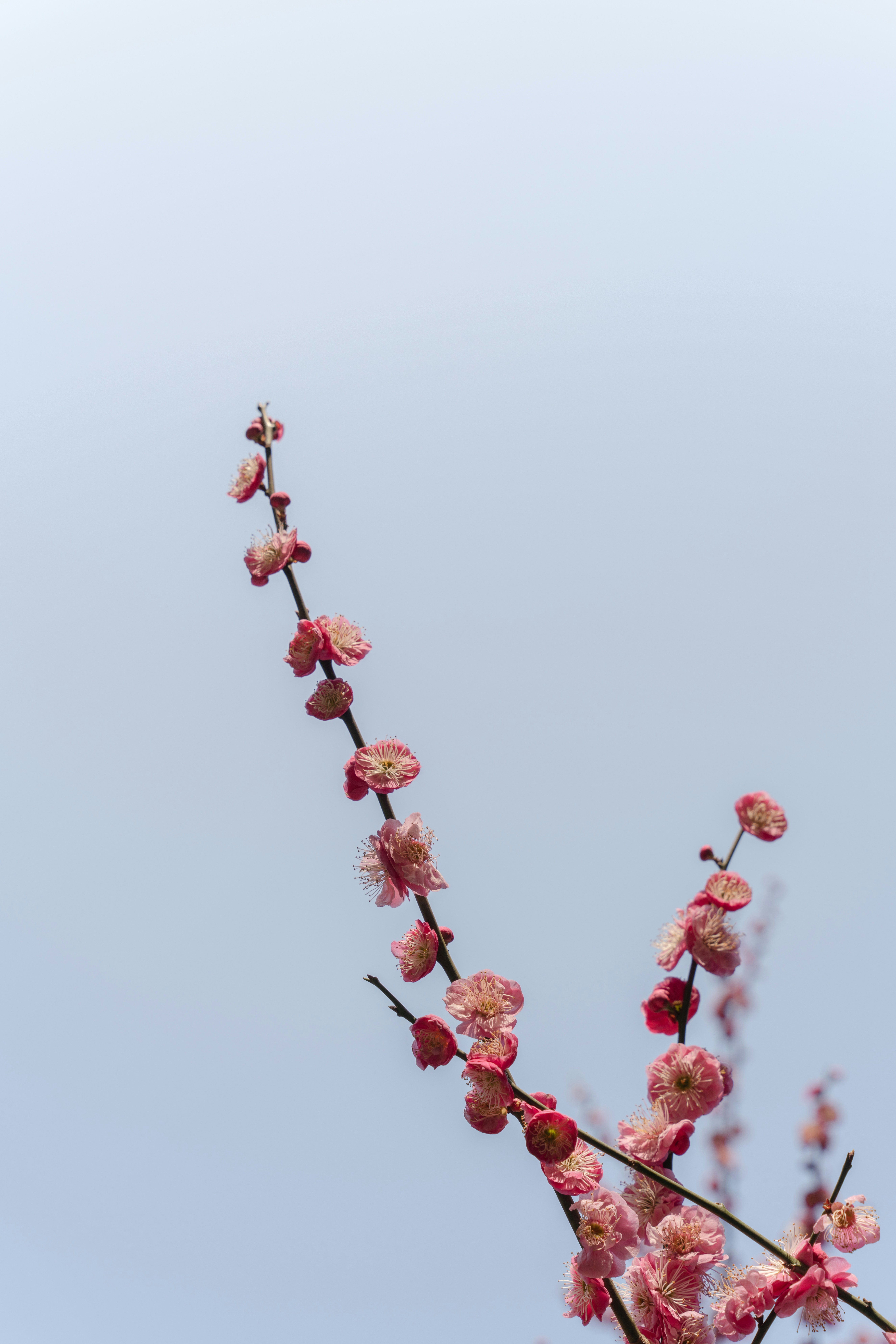 Photo by dongcheng