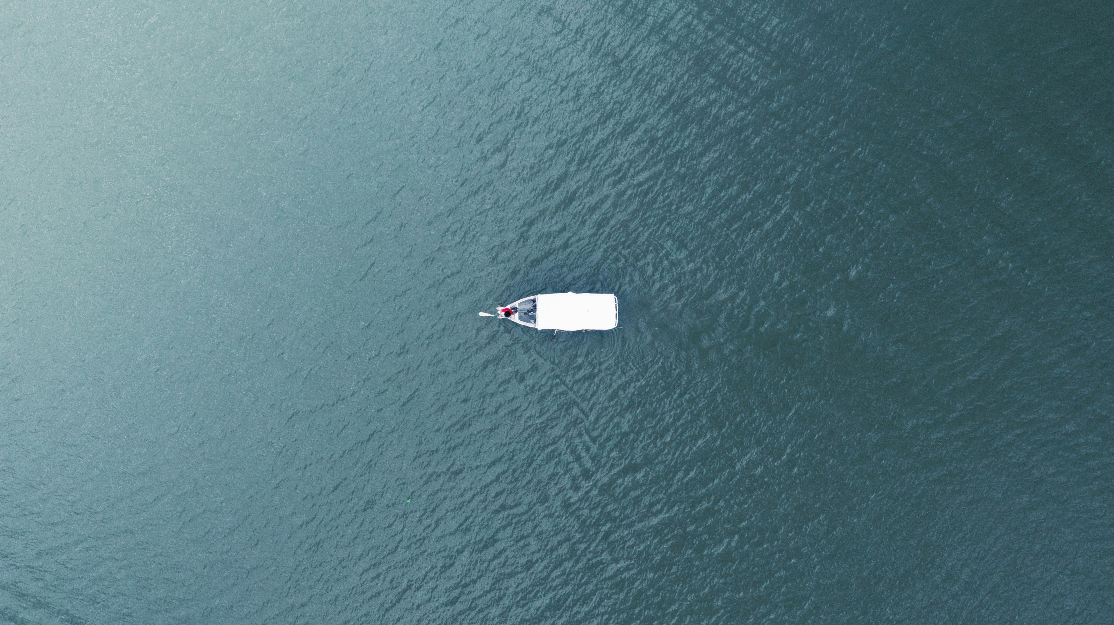 Photo by time_freeze