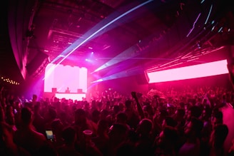 a large crowd of people at a concert