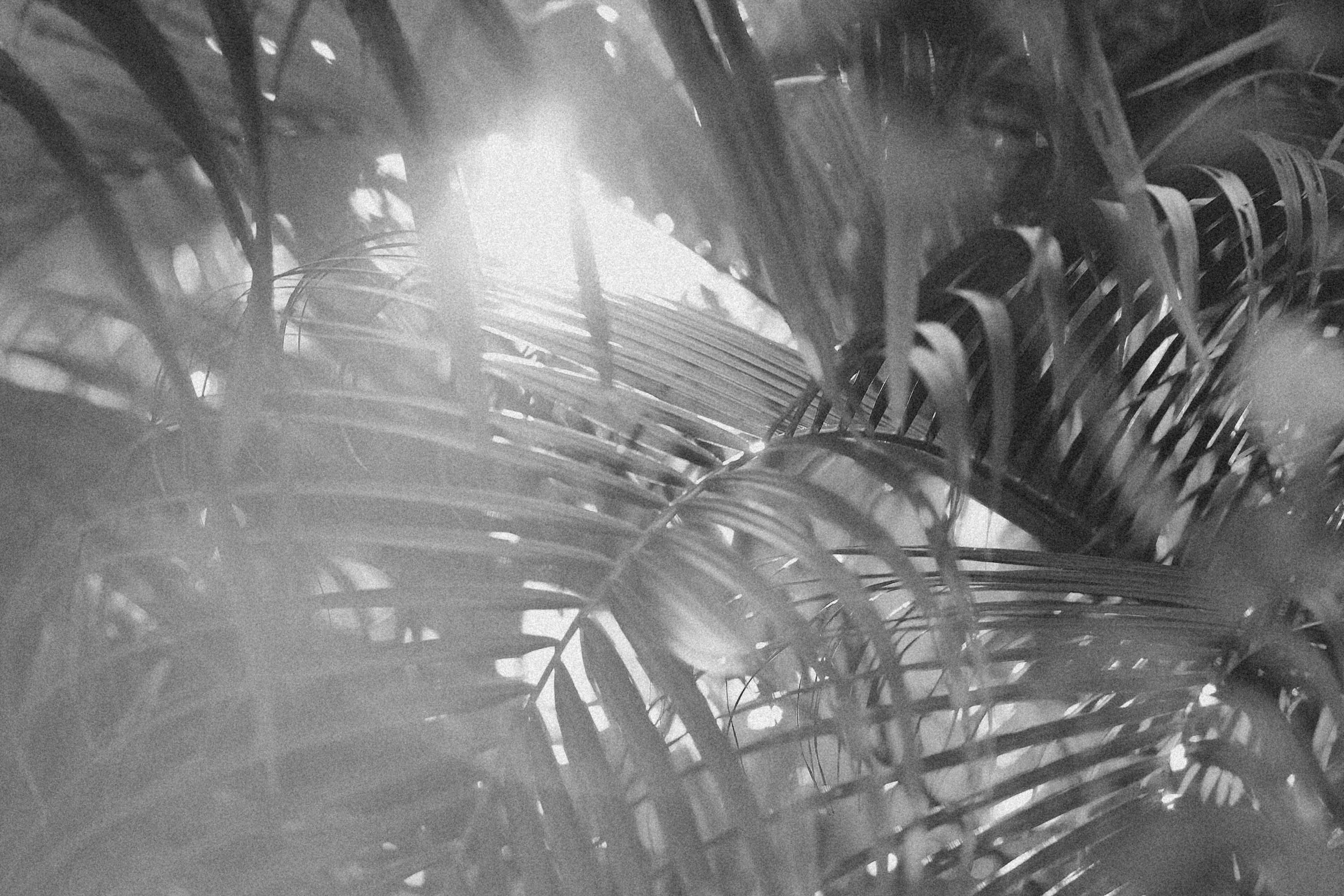 Photo by alexeydemidov