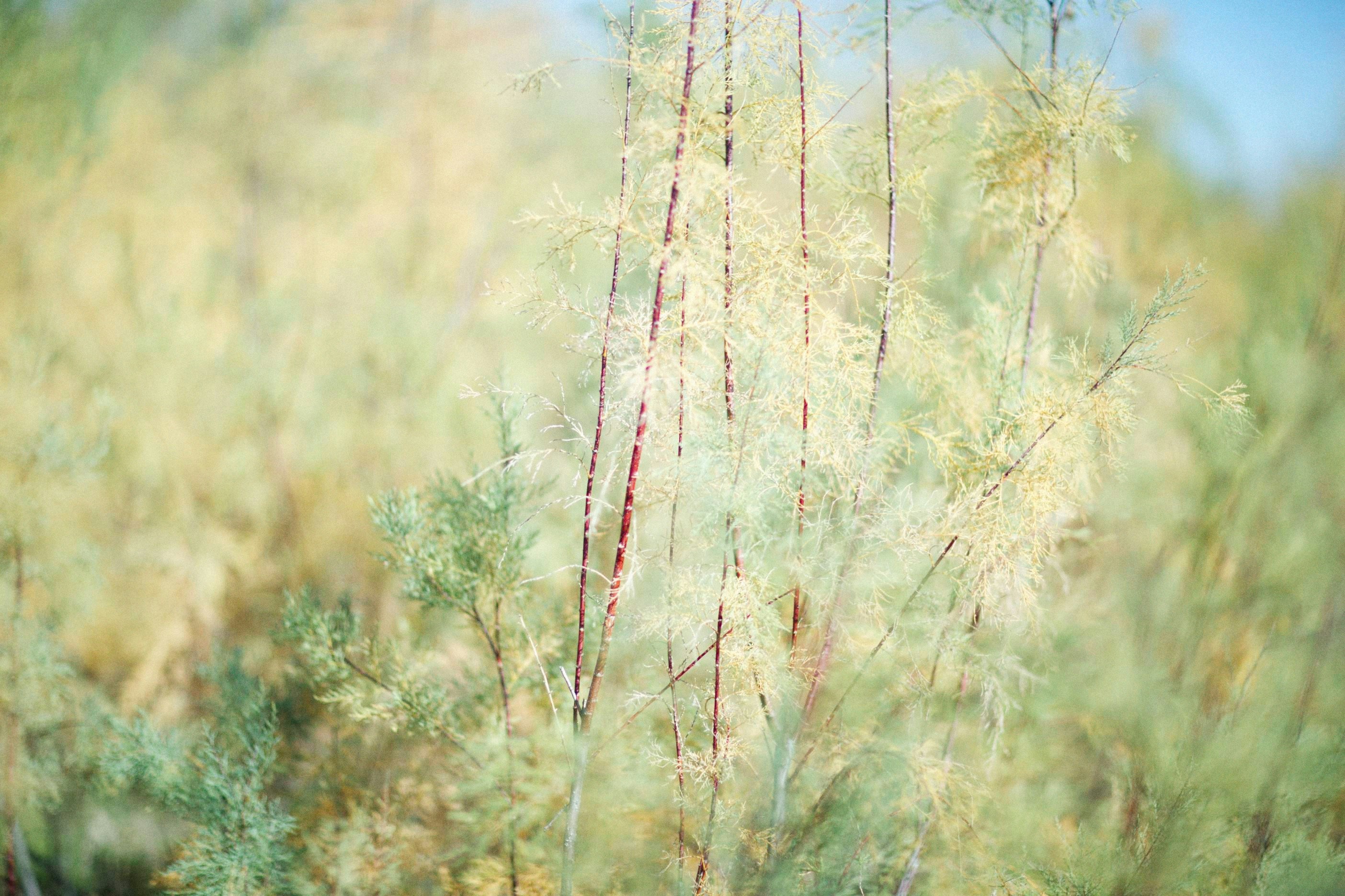 Photo by alexeydemidov