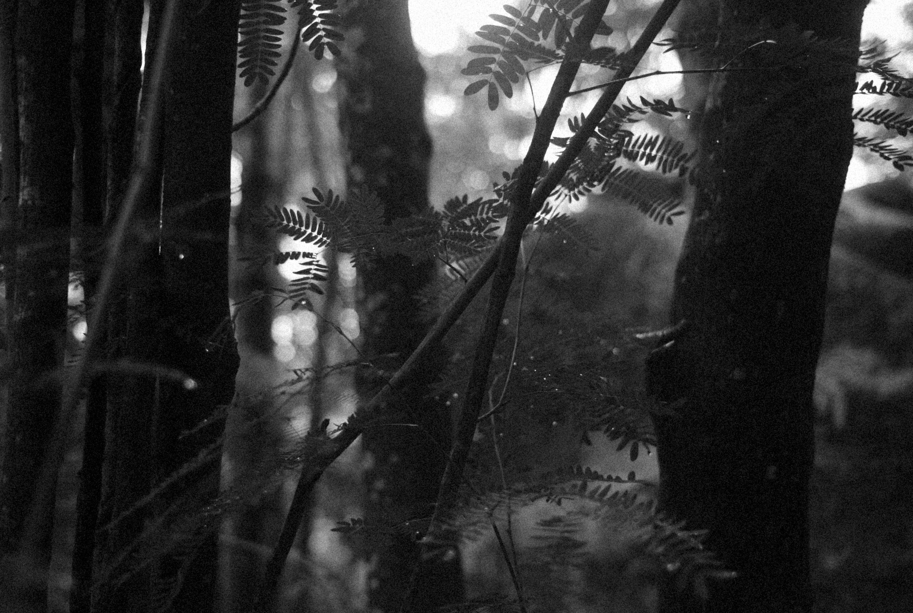 Photo by alexeydemidov