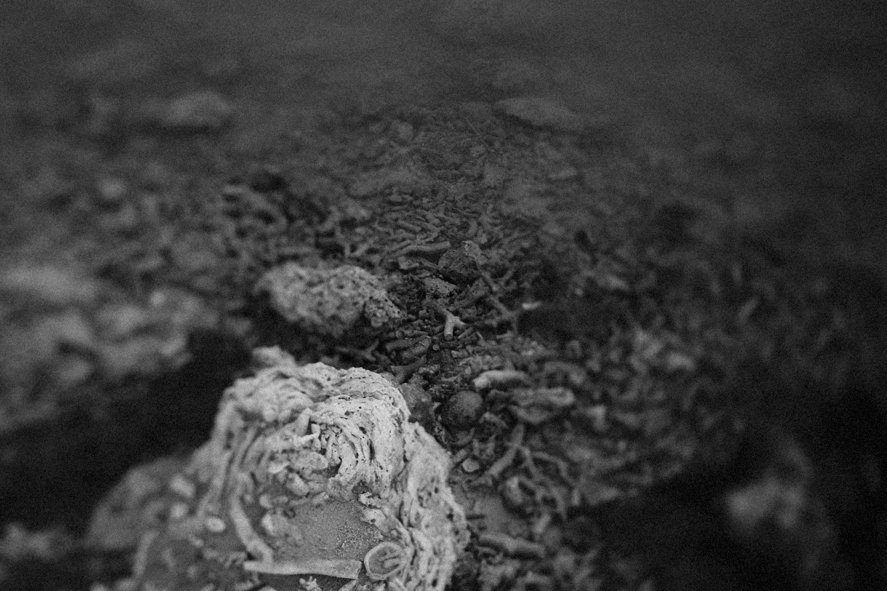 Photo by alexeydemidov