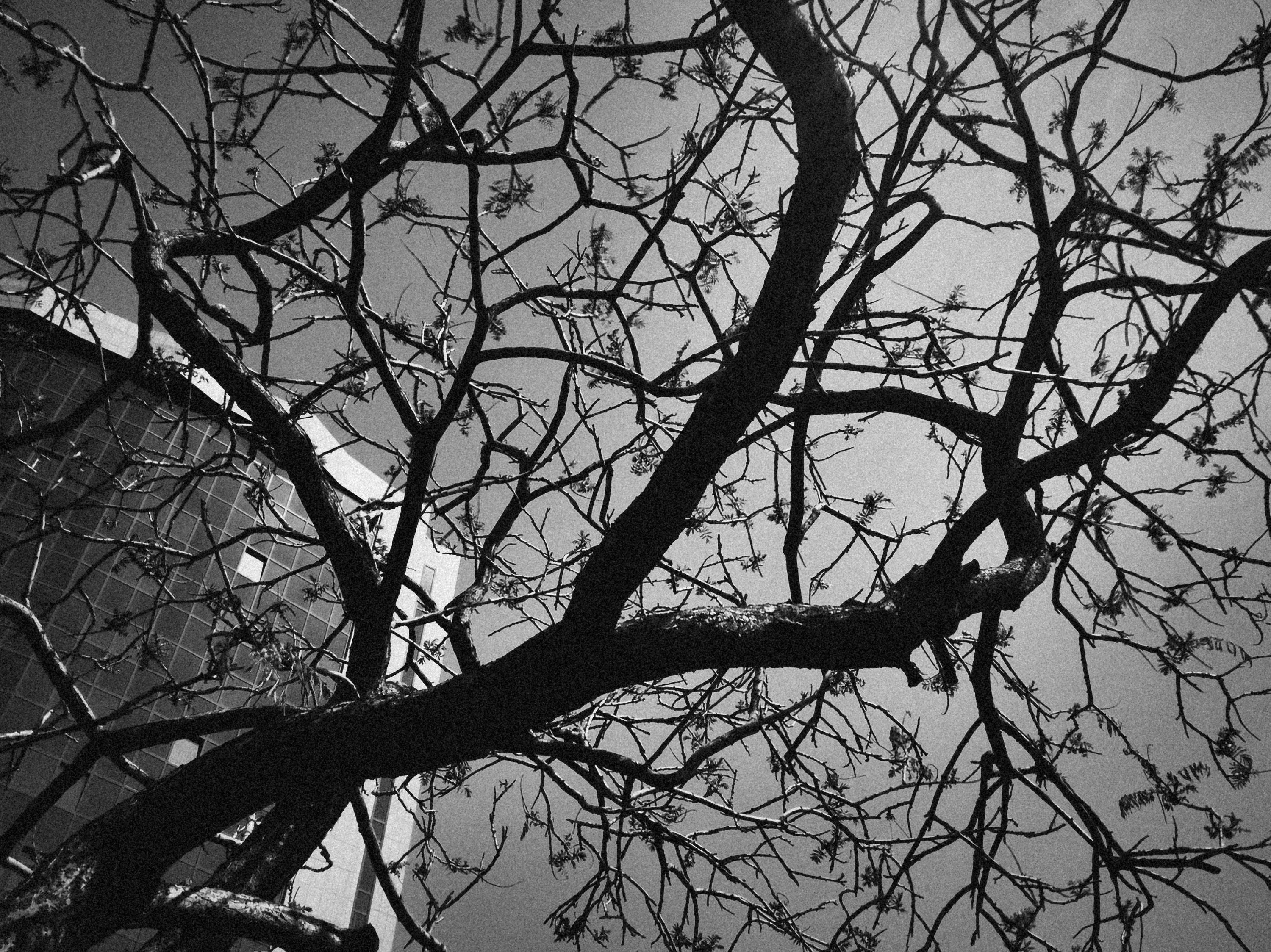 Photo by alexeydemidov