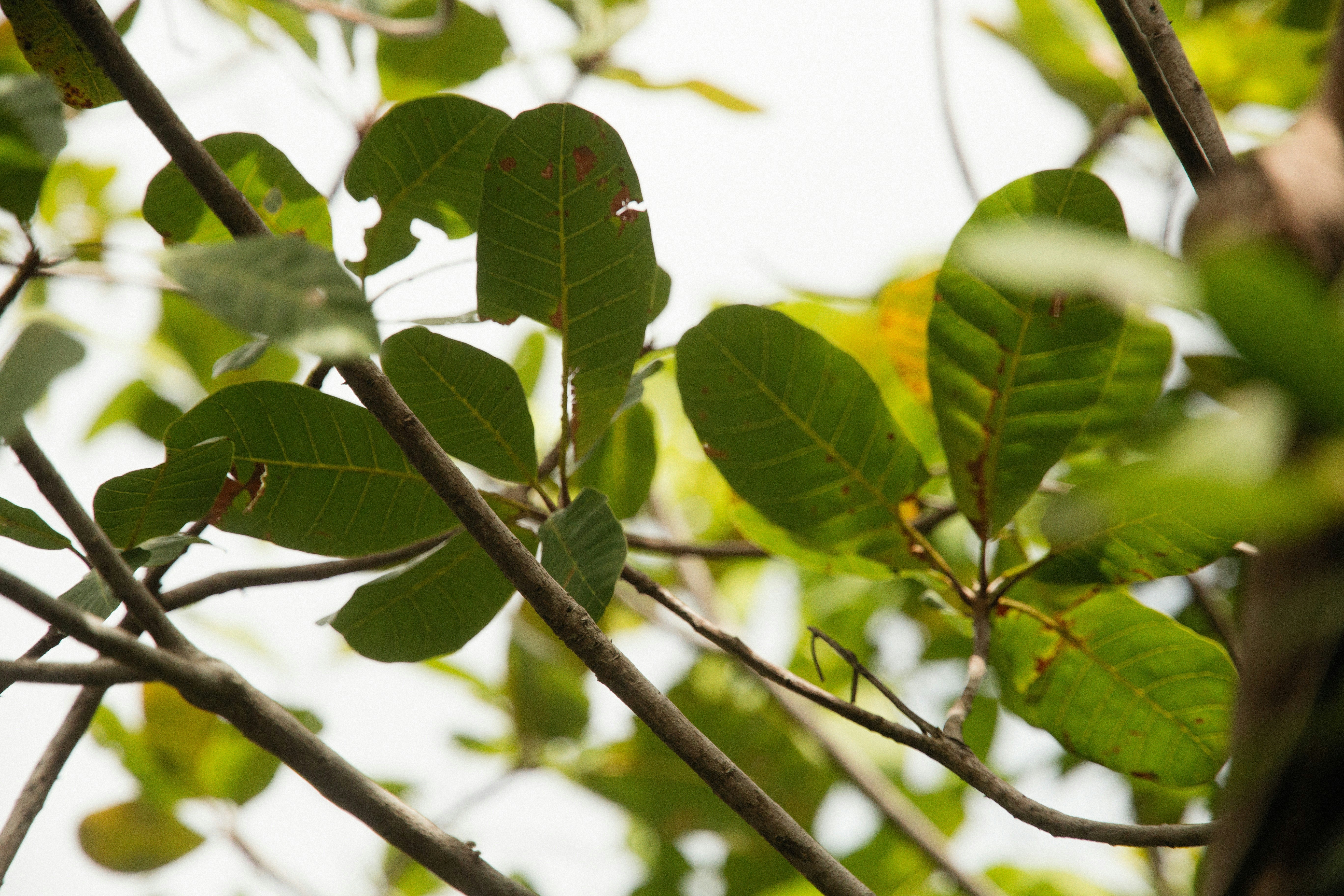 Photo by alexeydemidov