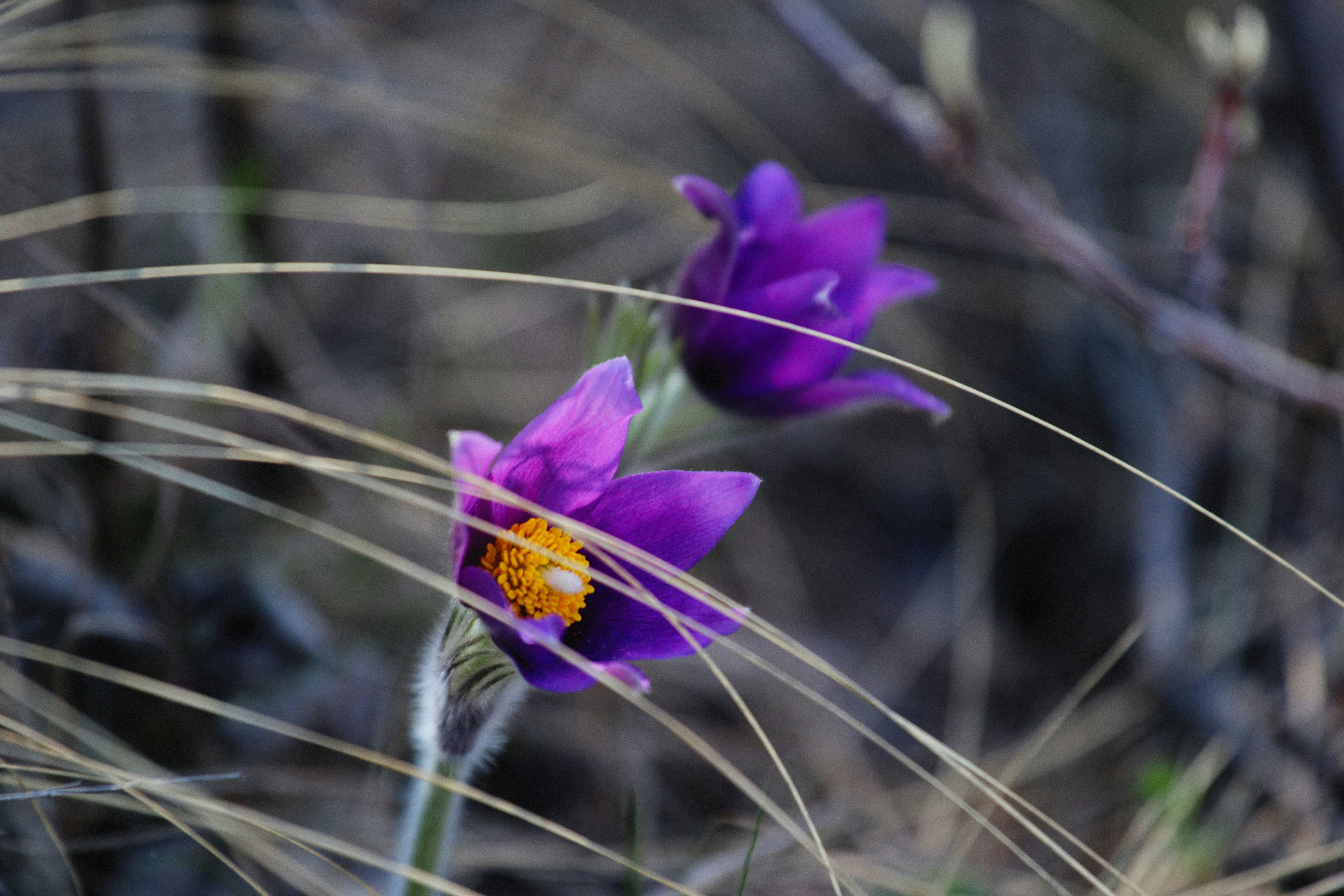 Photo by alexeydemidov