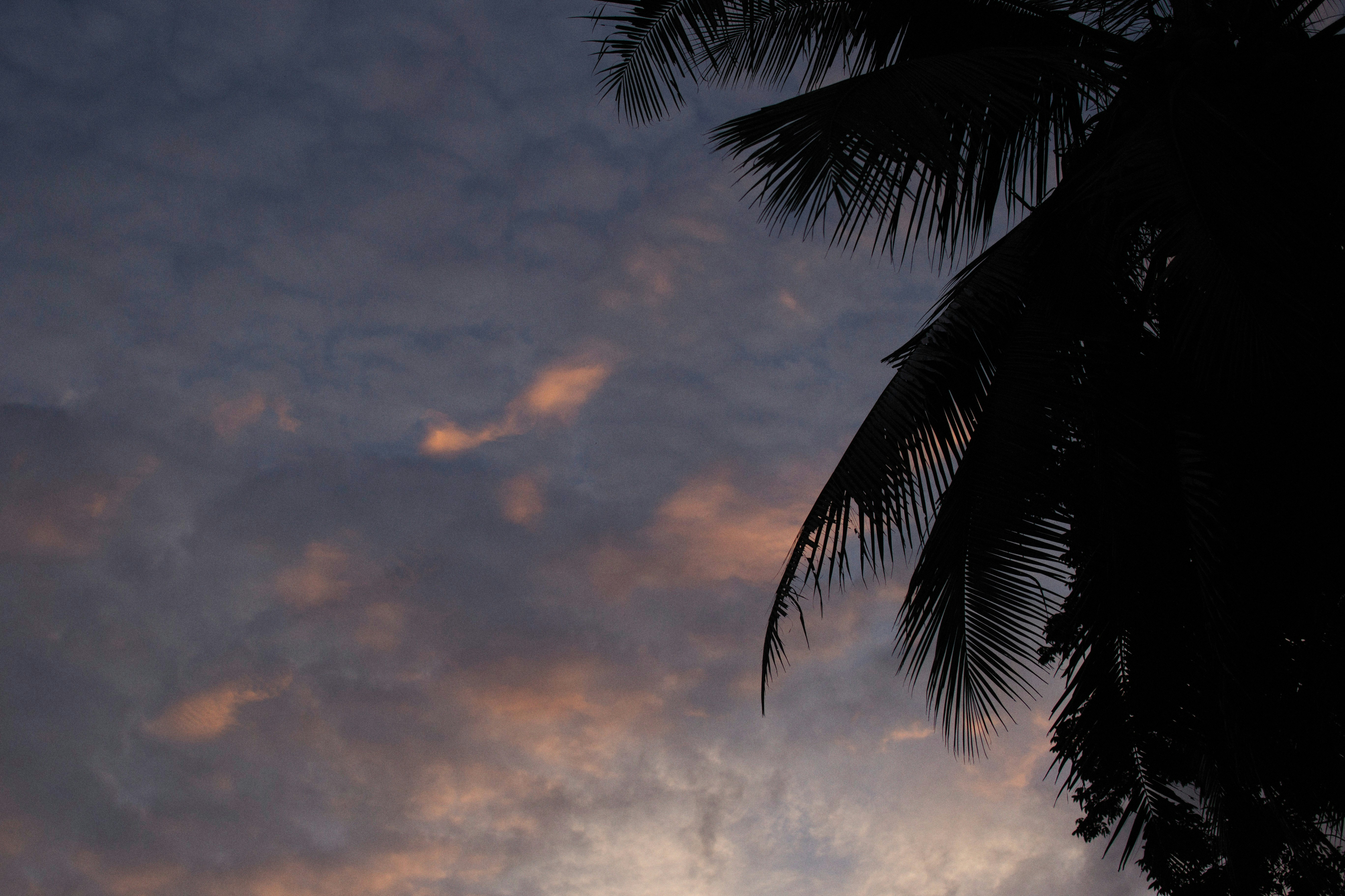 Photo by alexeydemidov