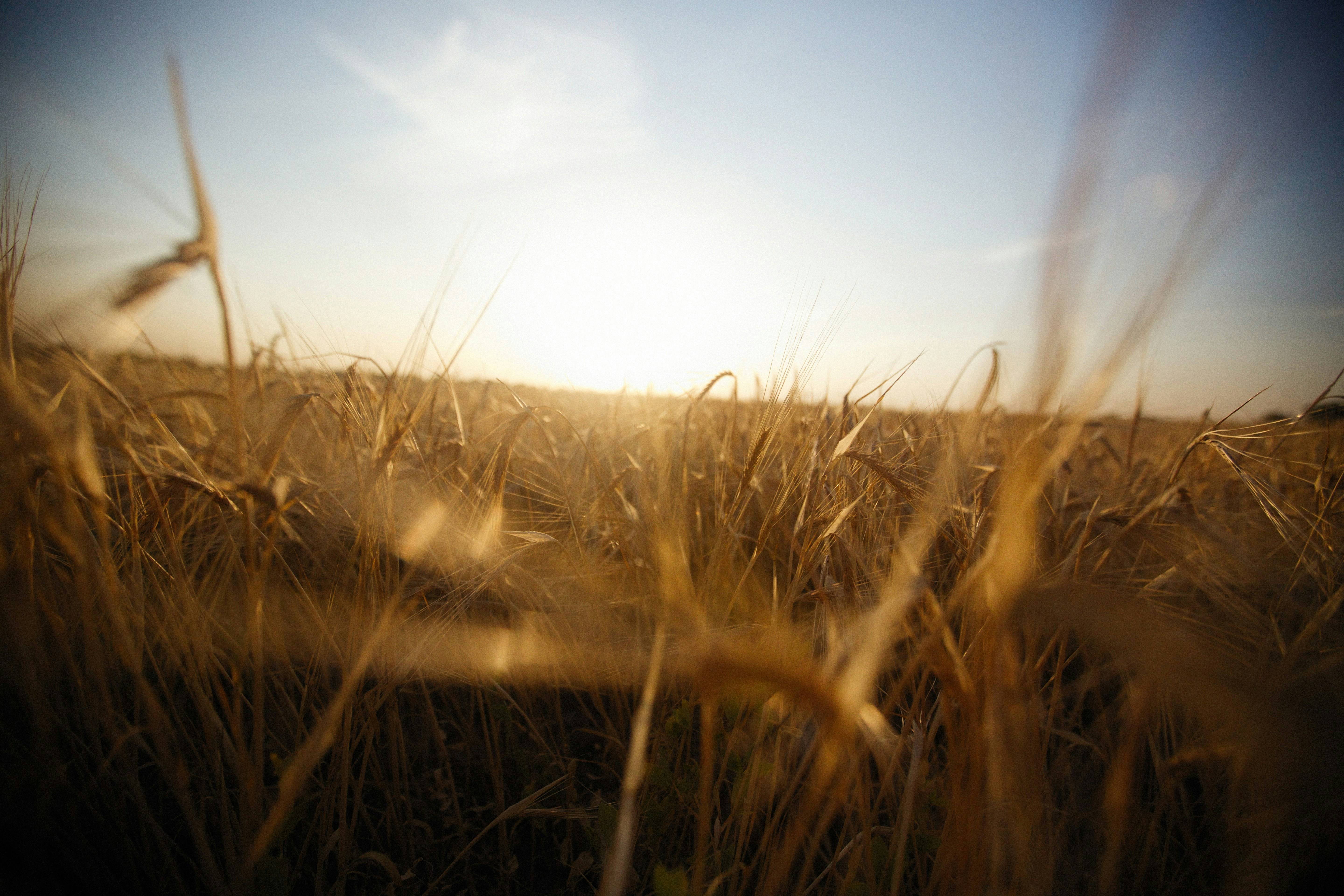 Photo by alexeydemidov