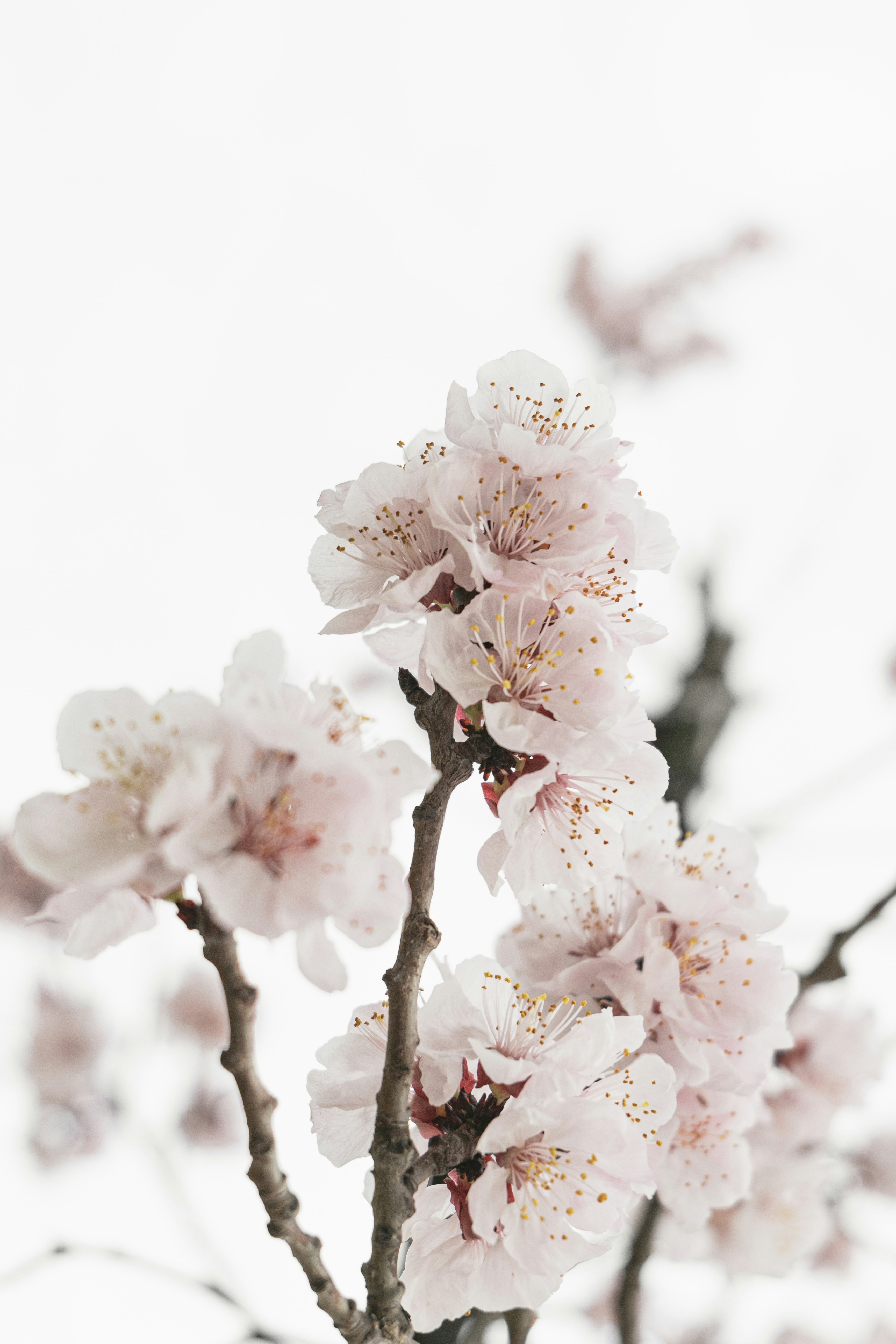 Photo by minecraftinventor