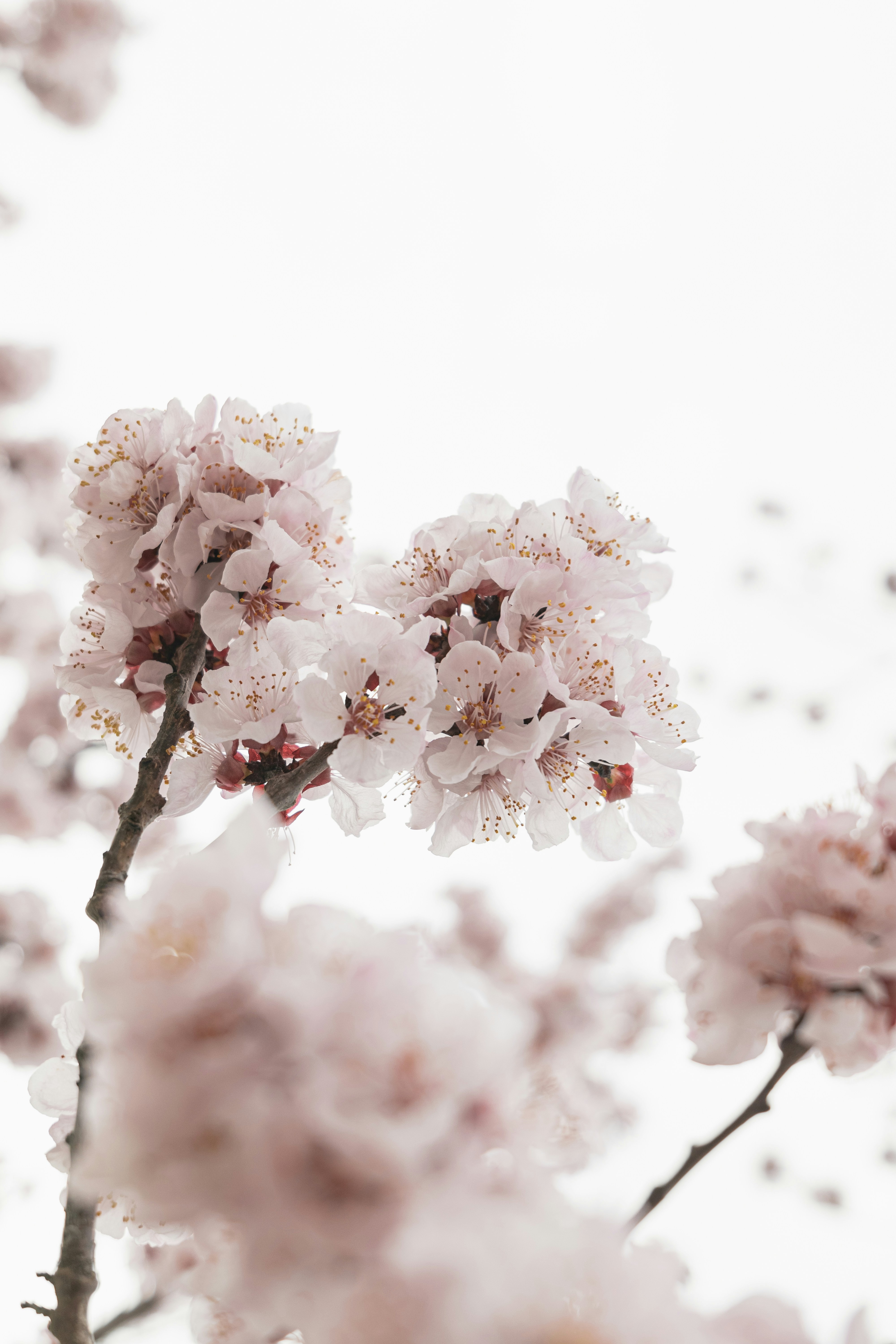 Photo by minecraftinventor