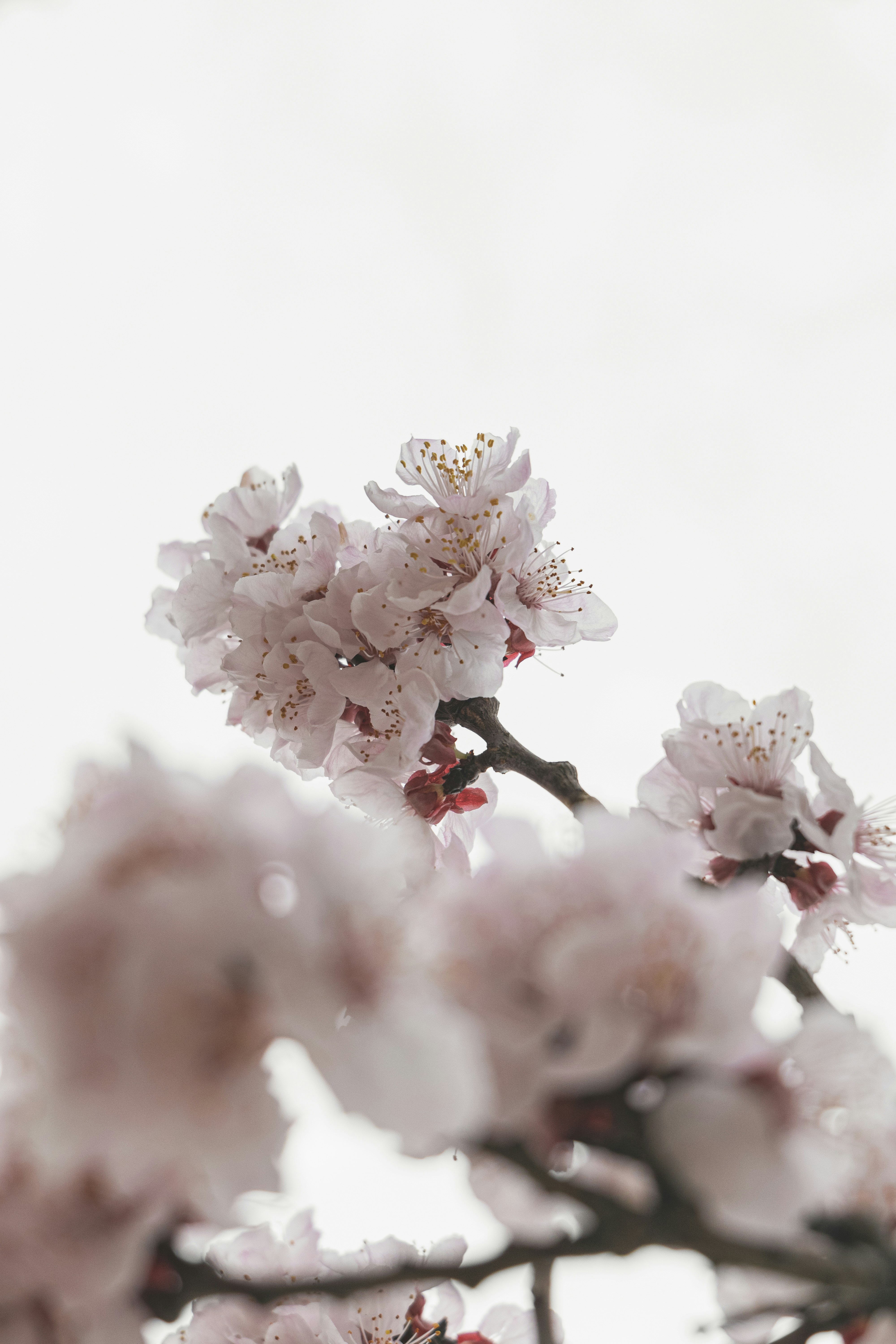 Photo by minecraftinventor