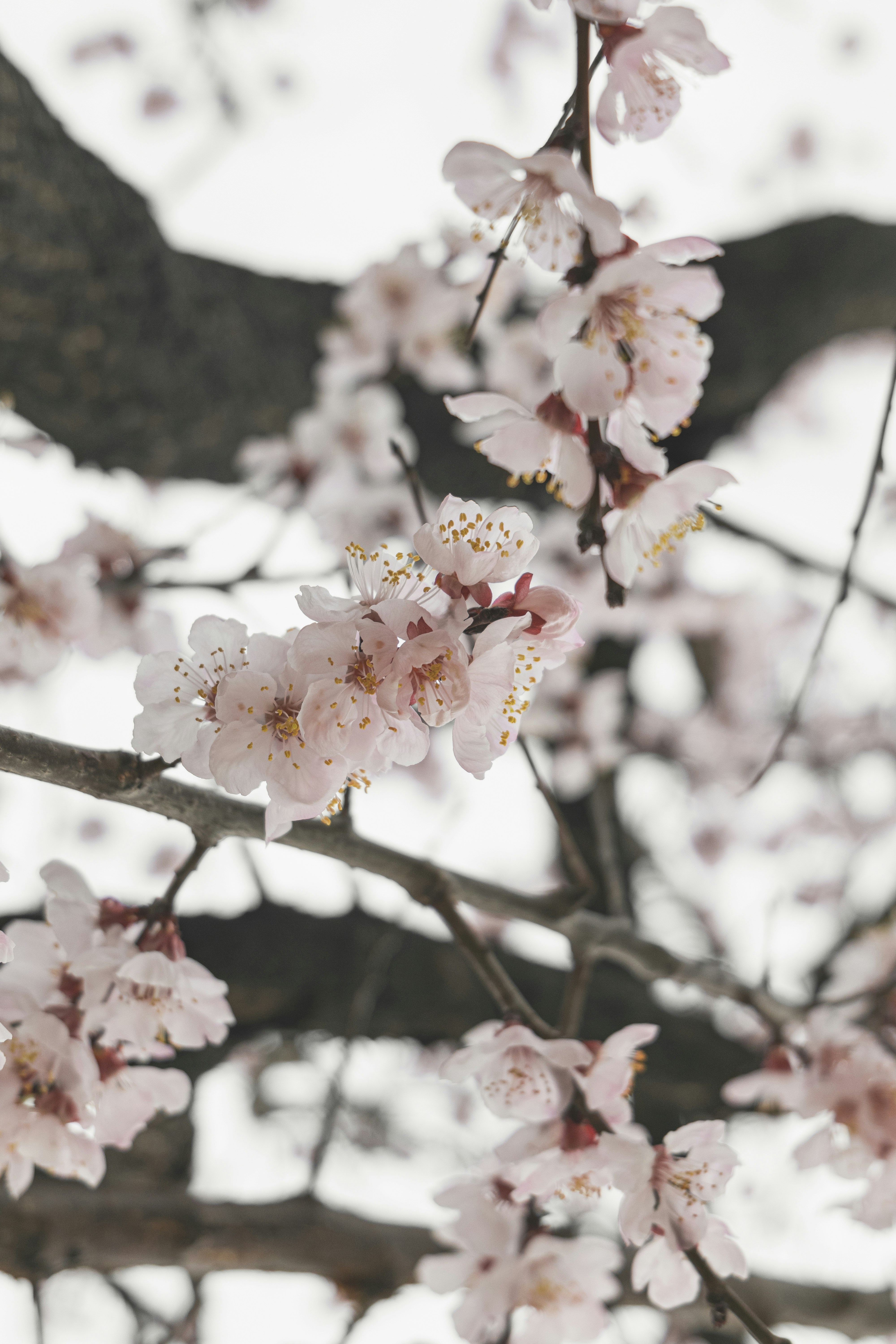 Photo by minecraftinventor